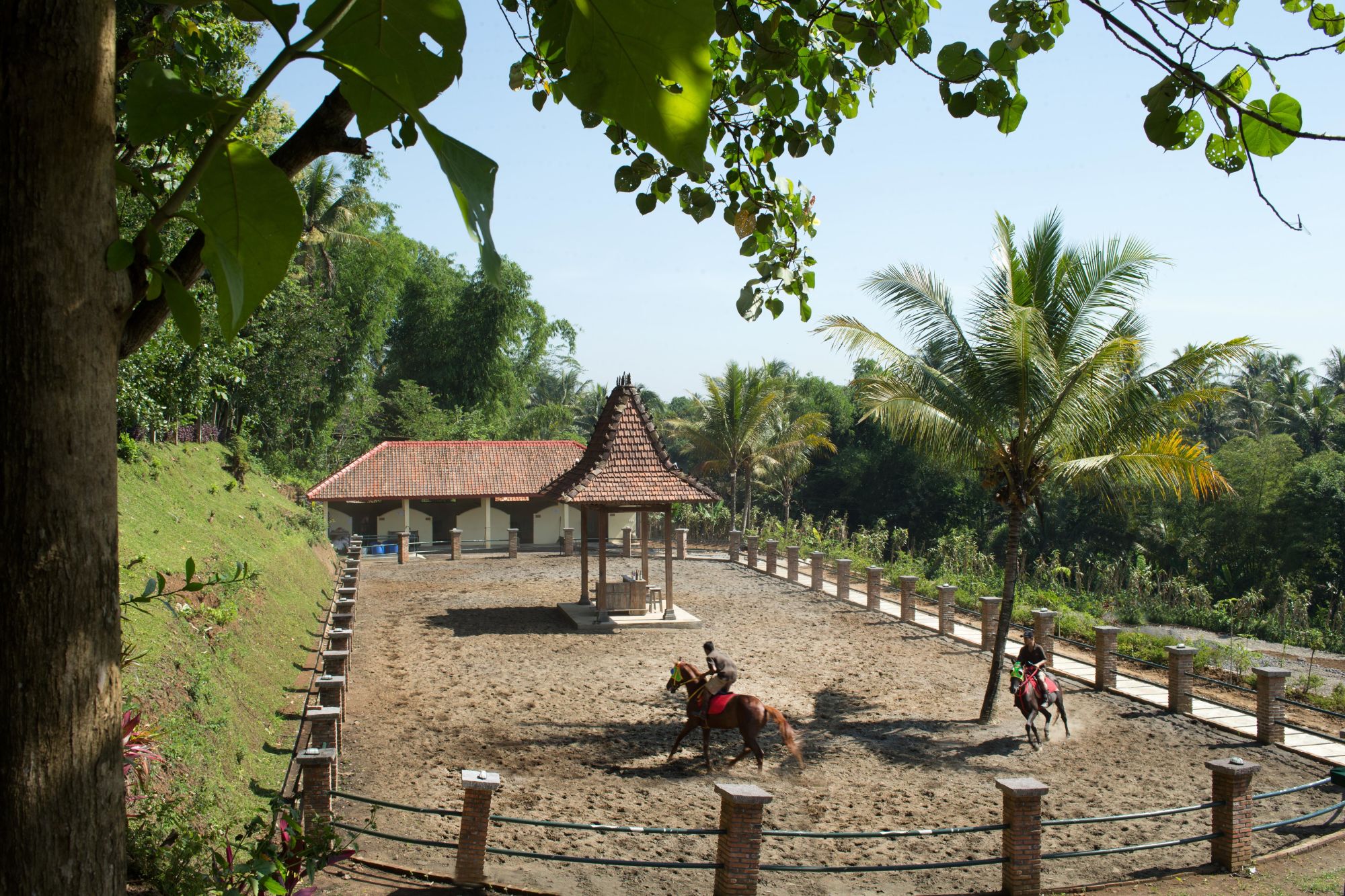 Plataran Borobudur Resort & Spa in Yogyakarta: Horse Riding