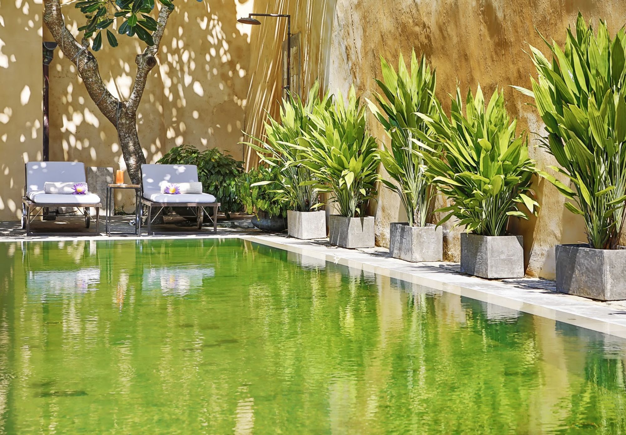 The Fort Printers à Galle: Pool