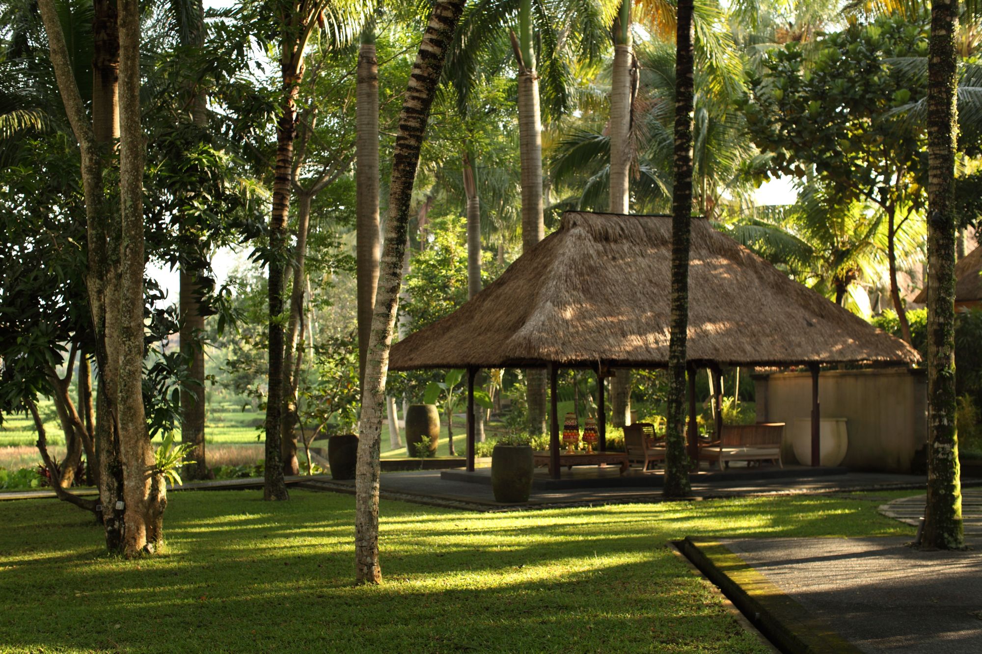 The Ubud Village Resort & Spa:  Garden