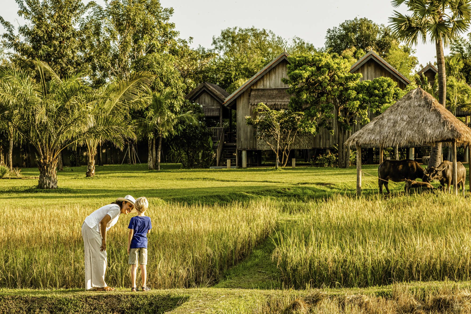 Phum Baitang in Siem Reap: Kids Club