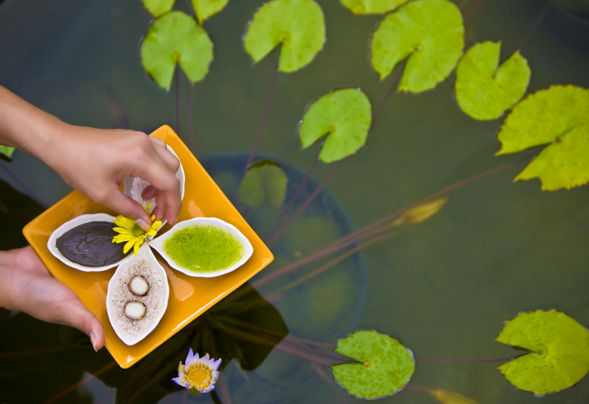 Homm Laguna Bintan: Spa Ingredients