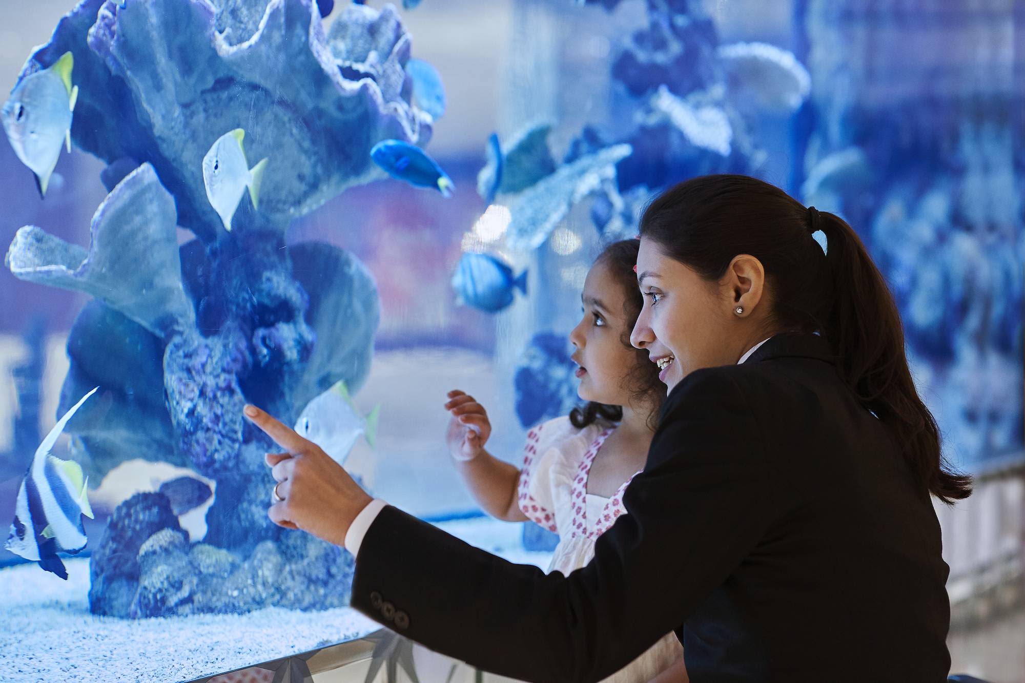 Taj Santacruz in Mumbai: Fish Tank
