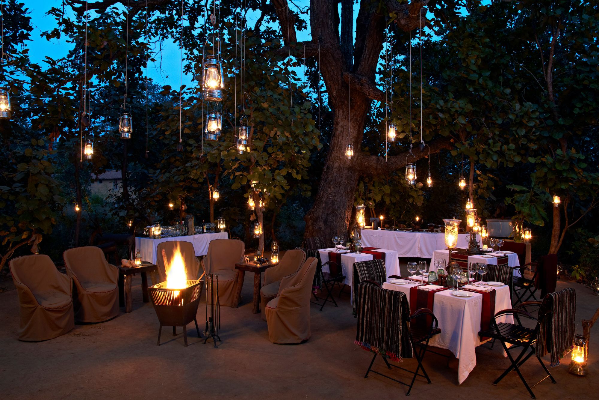 Samode Safari Lodge à Bandhavgarh: f&b: