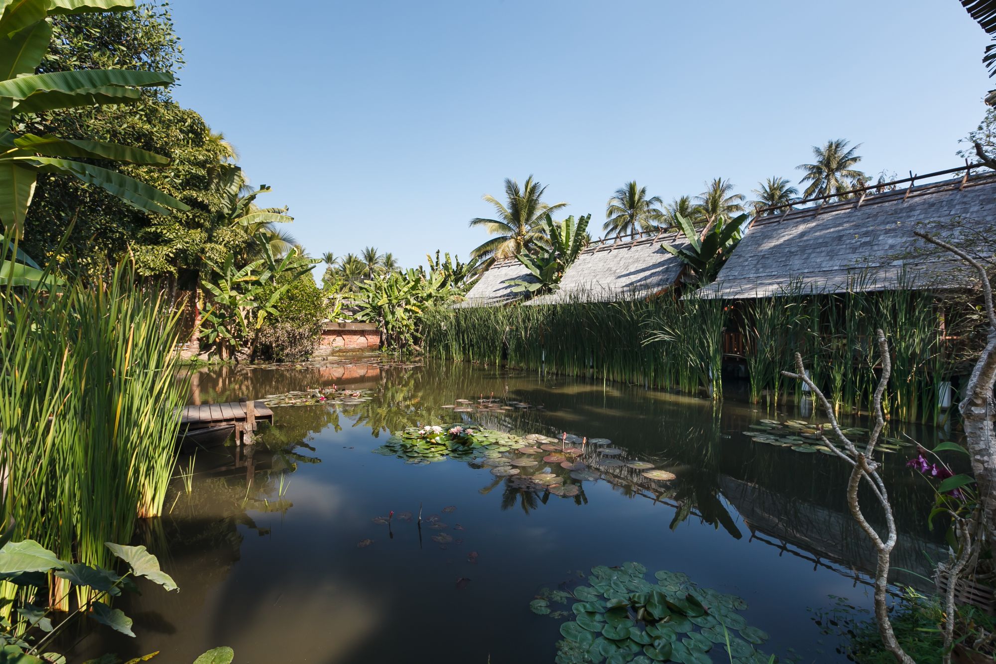 Maison Dalabua in Luang Prabang: Garden