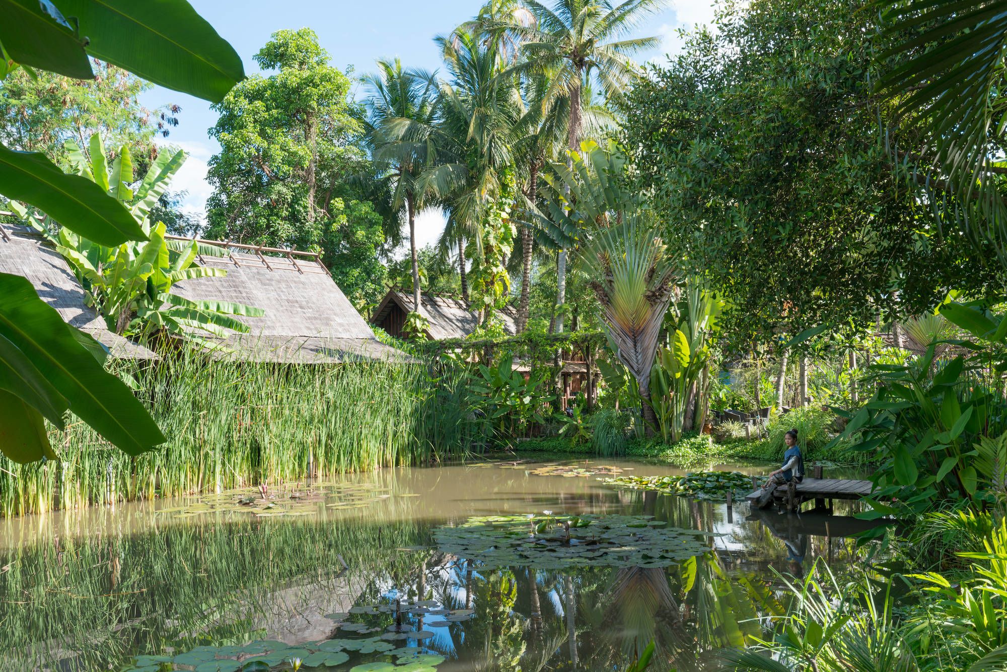 Maison Dalabua in Luang Prabang: Garden
