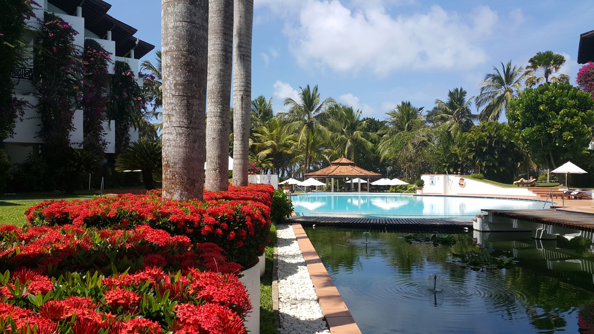 Lanka Princess Ayurveda Hotel à Beruwela: Garden and Pool