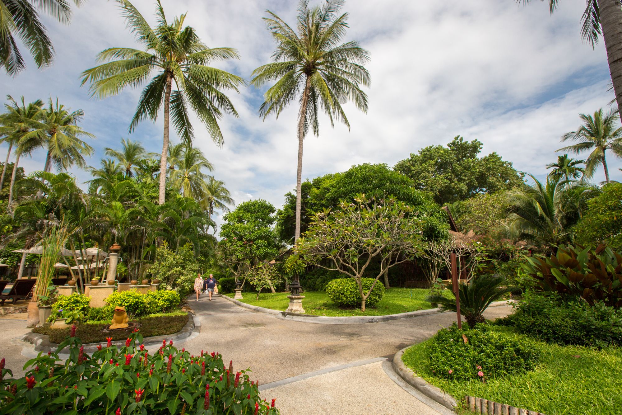 Fair House Beach Resort & Hotel à Ko Samui: Surrounding | Pathway