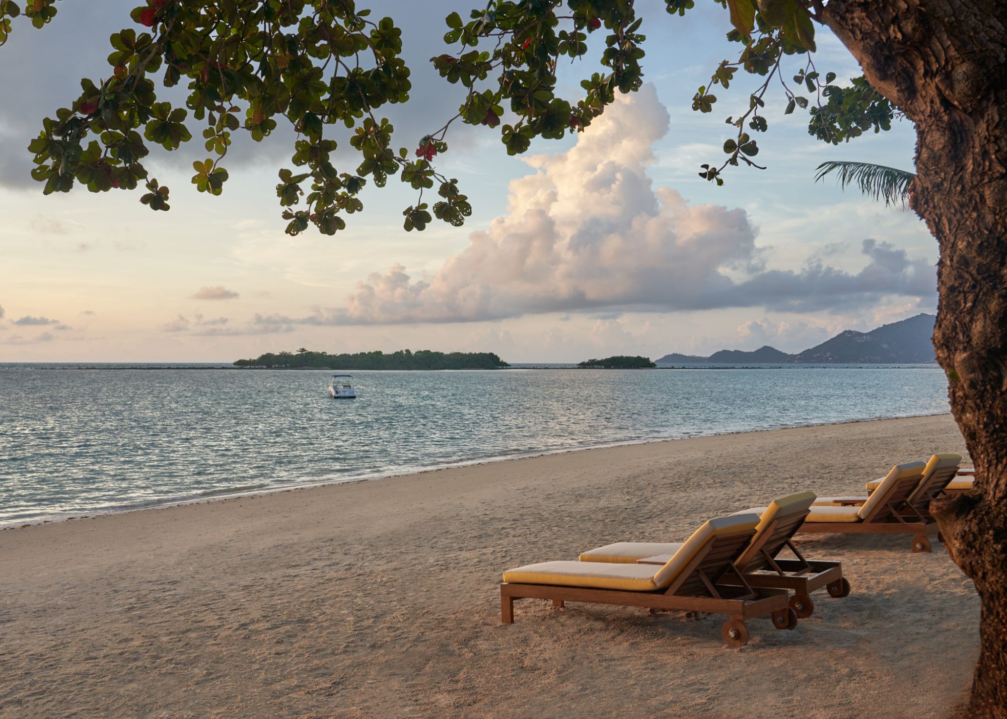 SALA Samui Chaweng Beach Resort à Ko Samui: Chaweng beach