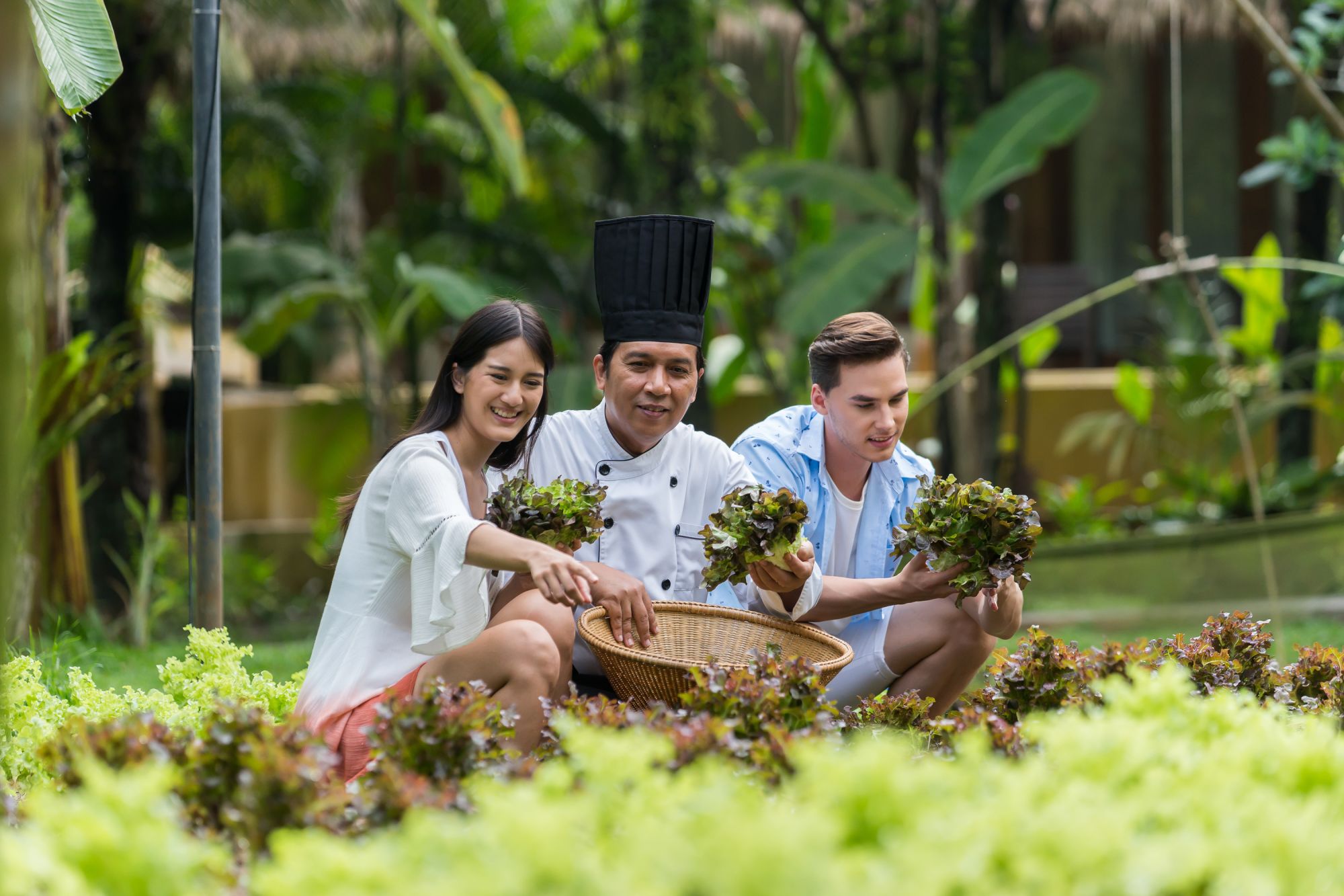 High Season Pool Villa & Spa in Ko Kood: Organic Garden
