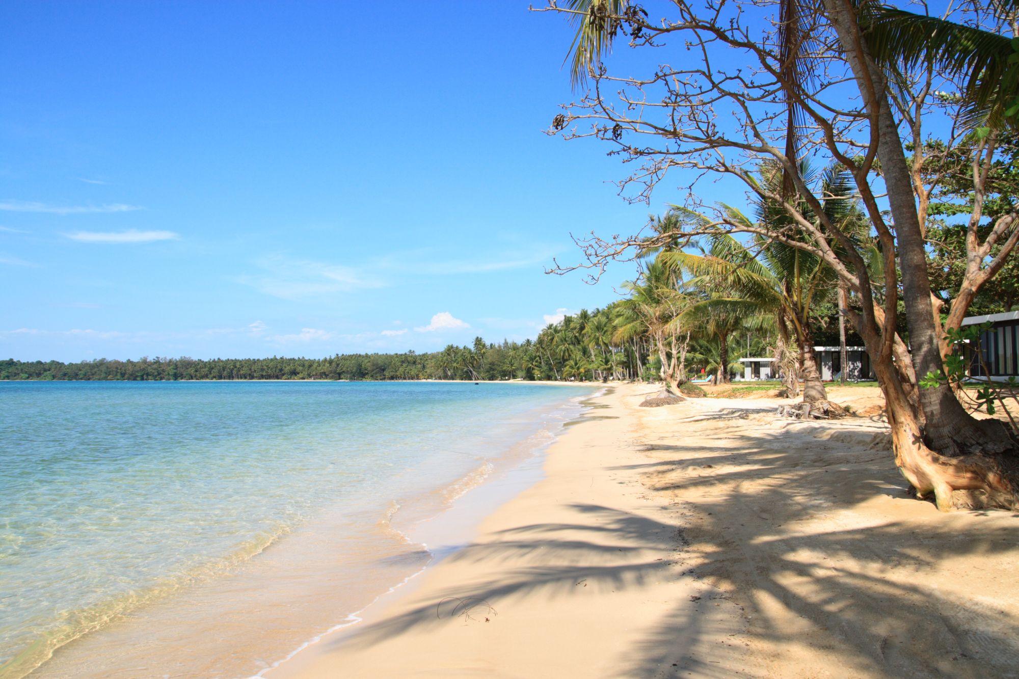 D'île en île dans le golfe de Thaïlande en individuel de Ko Chang: beach: Beach at Seavana Resort