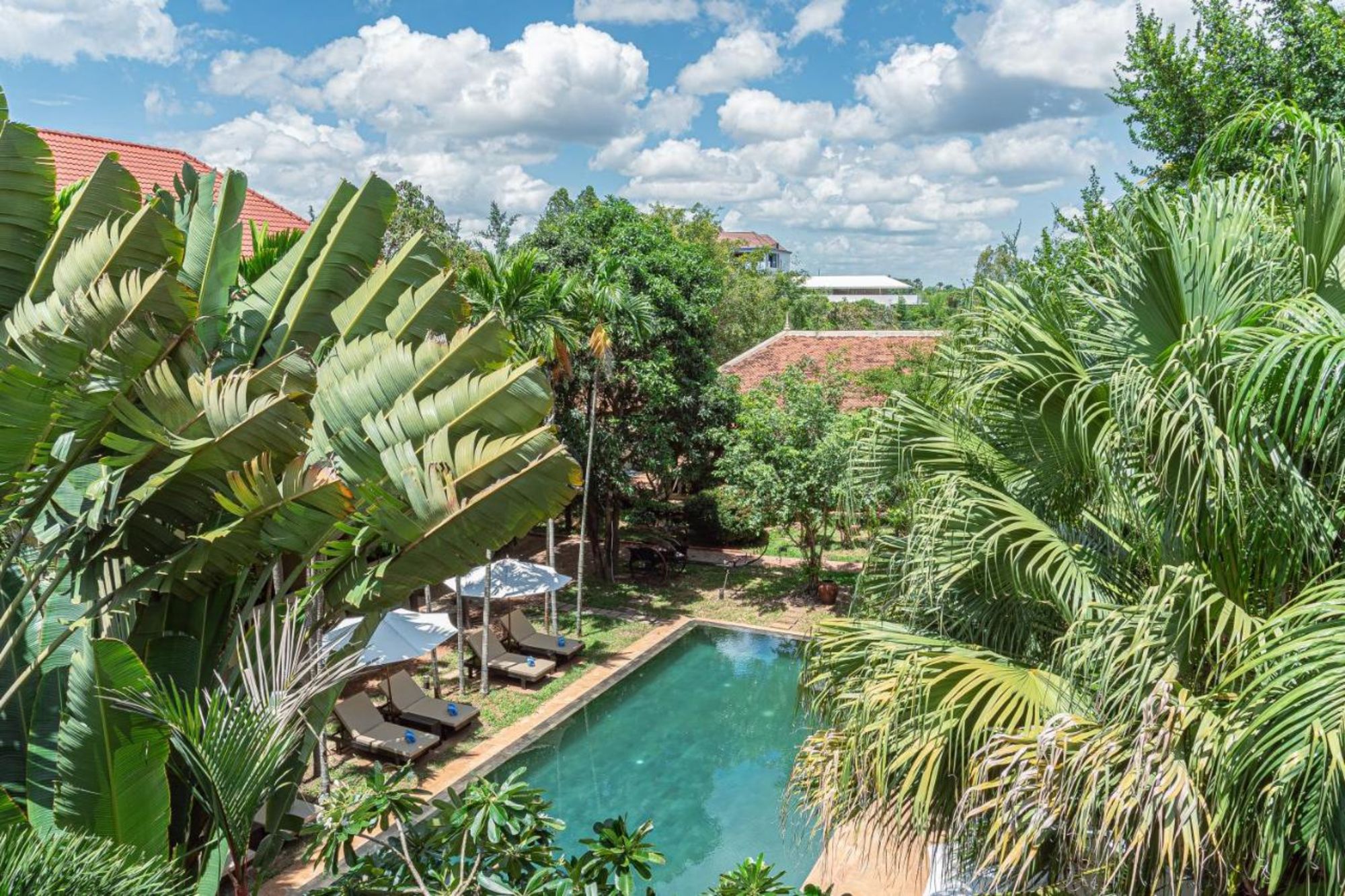 Pavillon d'Orient in Siem Reap: Swimming pool in the lush green garden