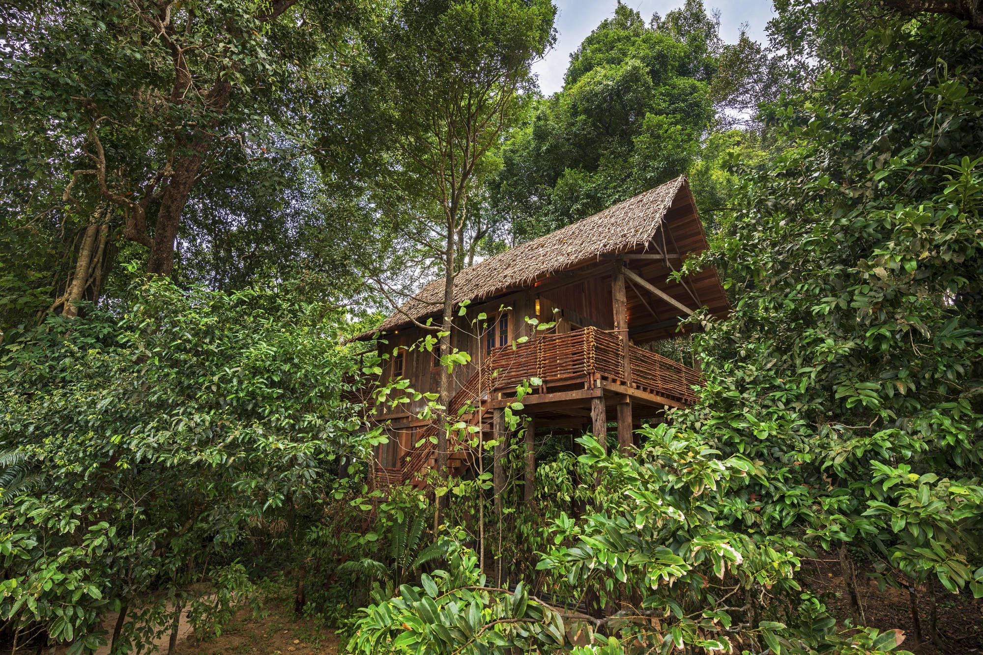 Wa Ale à Mergui Archipel: Treetop Villa