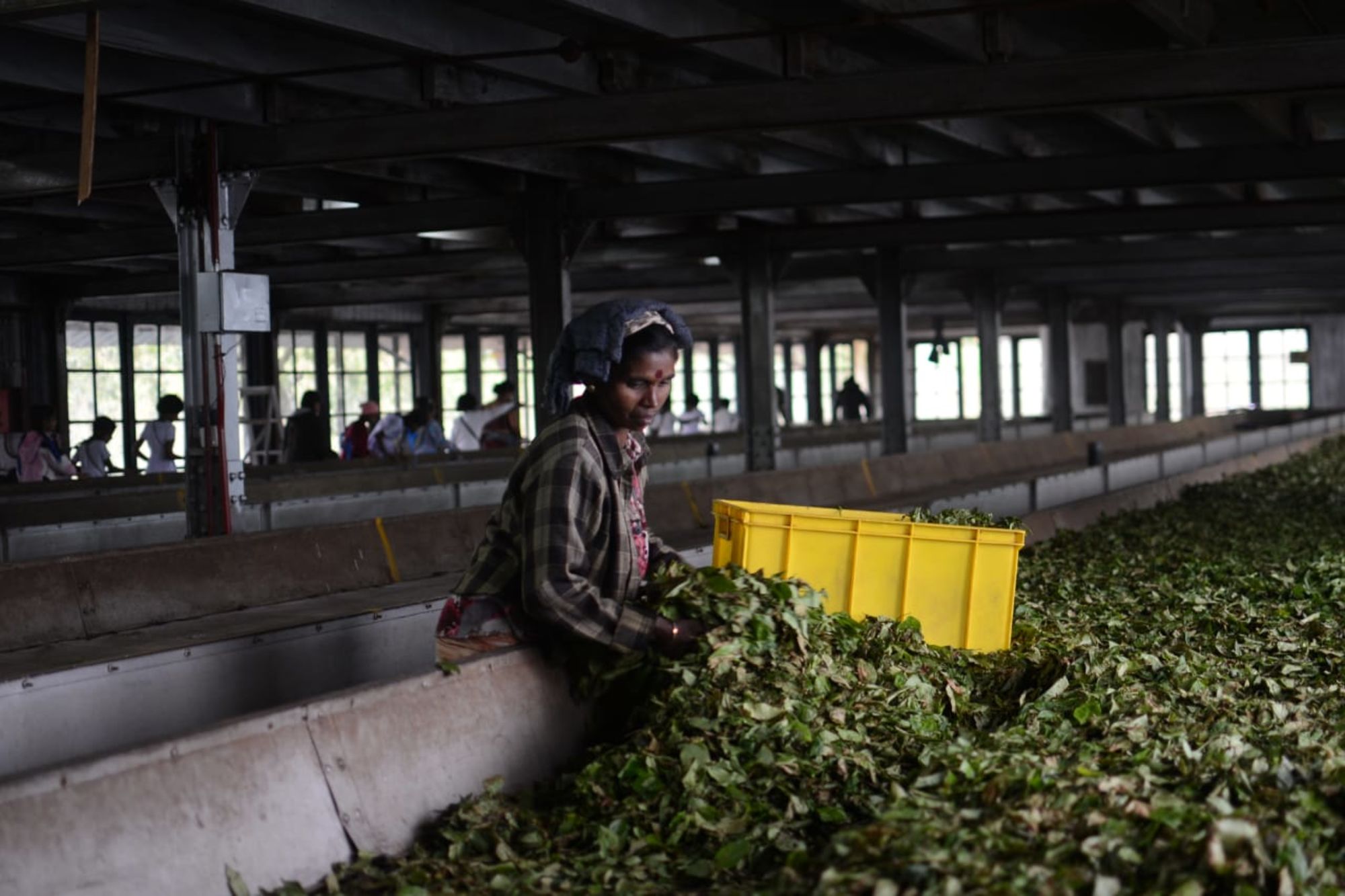Living Heritage Koslanda à Ella/Haputale/Koslanda: Lipton' Seat Tea Factory