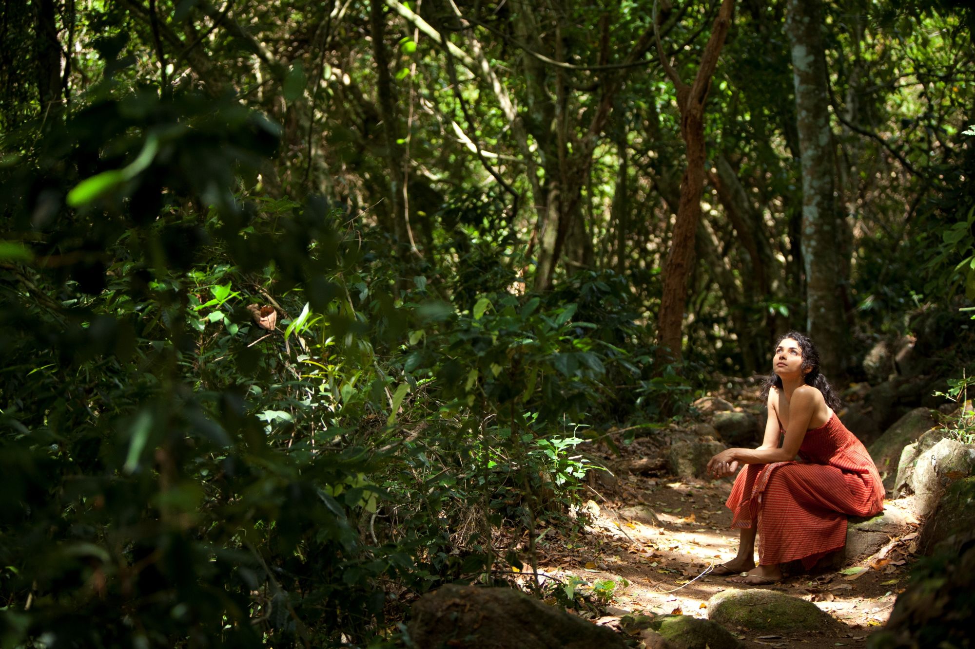 Living Heritage Koslanda à Ella/Haputale/Koslanda: Beautiful nature walk