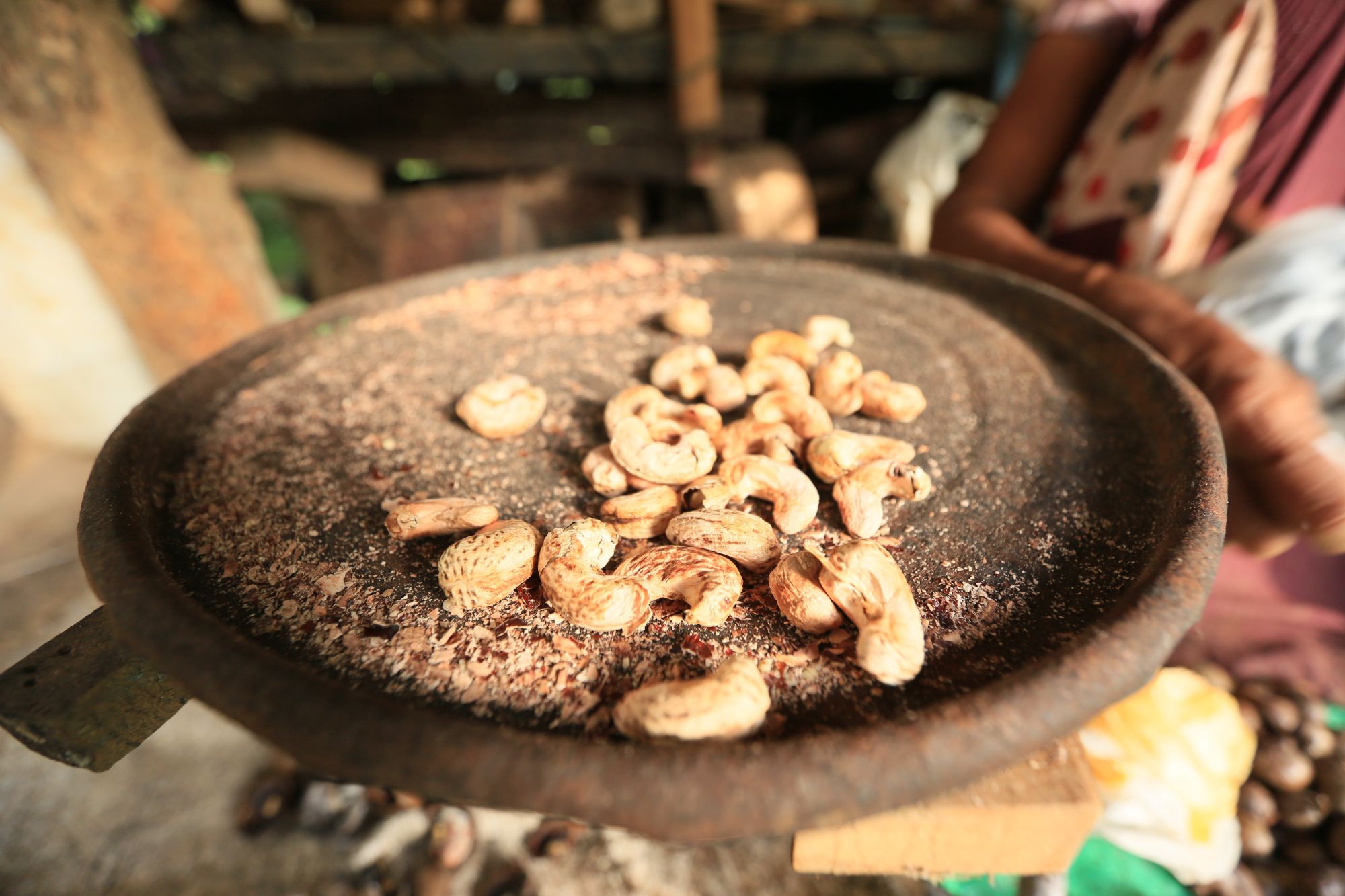 Horathapola Coconut Estate in Yakvila: peeling of Cashew