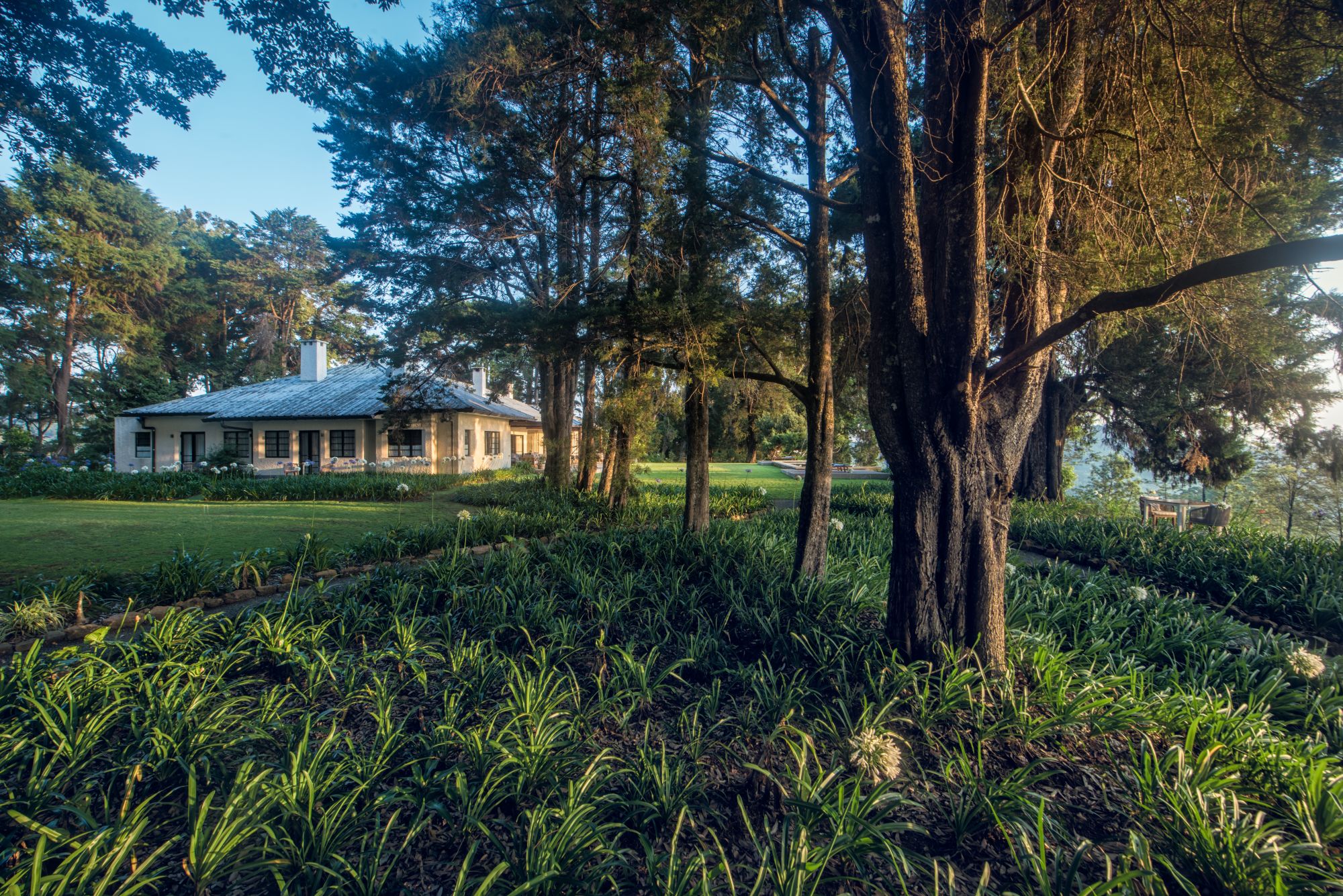 Goatfell in Nuwara Eliya: Garden