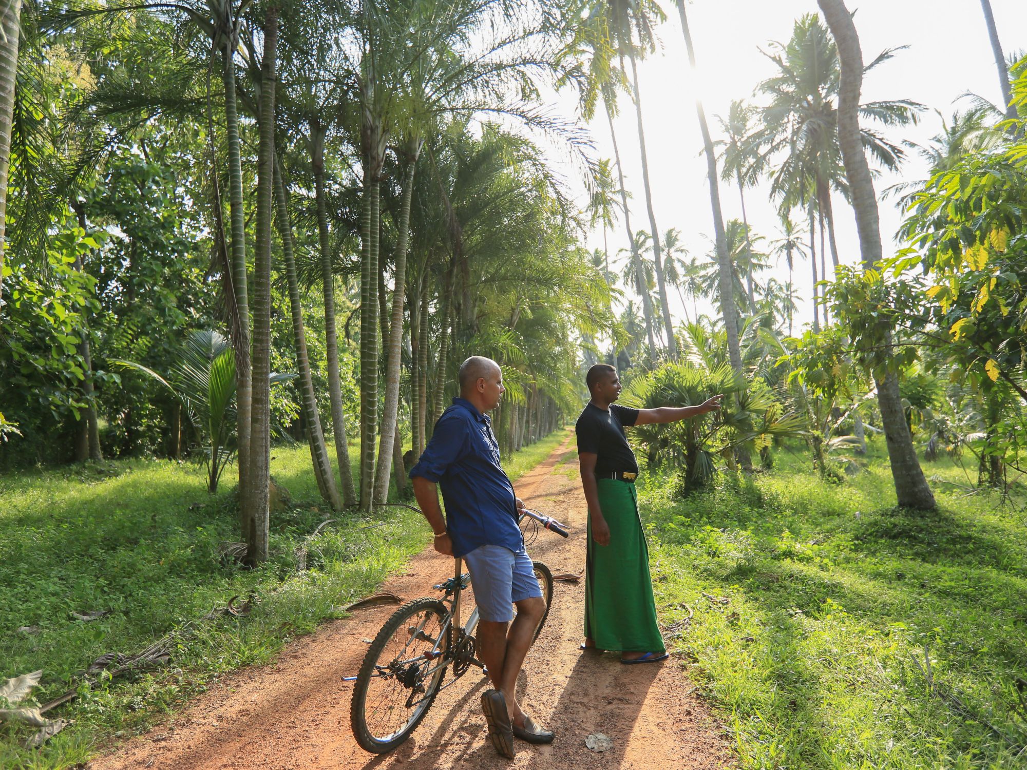 Horathapola Coconut Estate in Yakvila: Yakvila cycling and estate walks