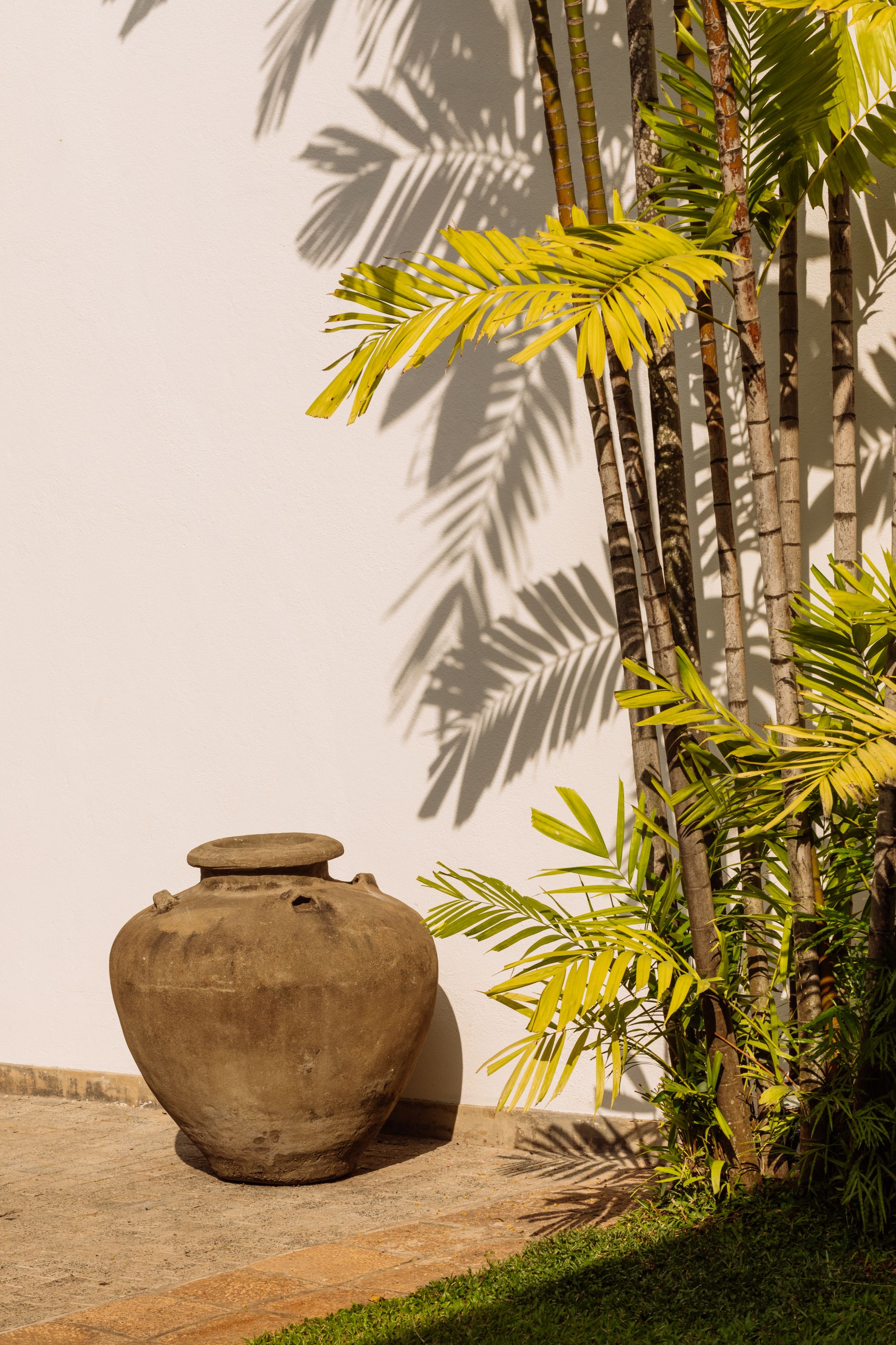 Nyne Hotels - Lake Lodge à Colombo: Plant