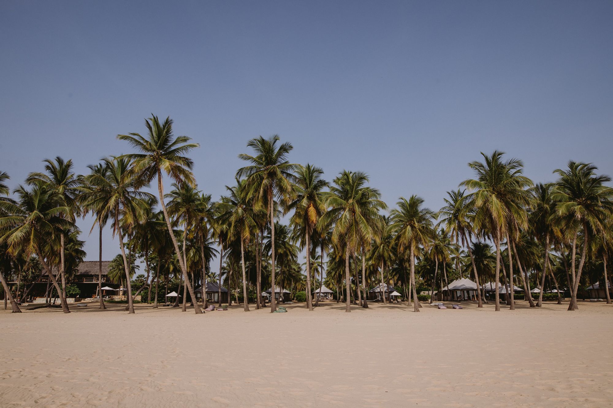 Karpaha Sands in Passekudah: Beach and Palms
