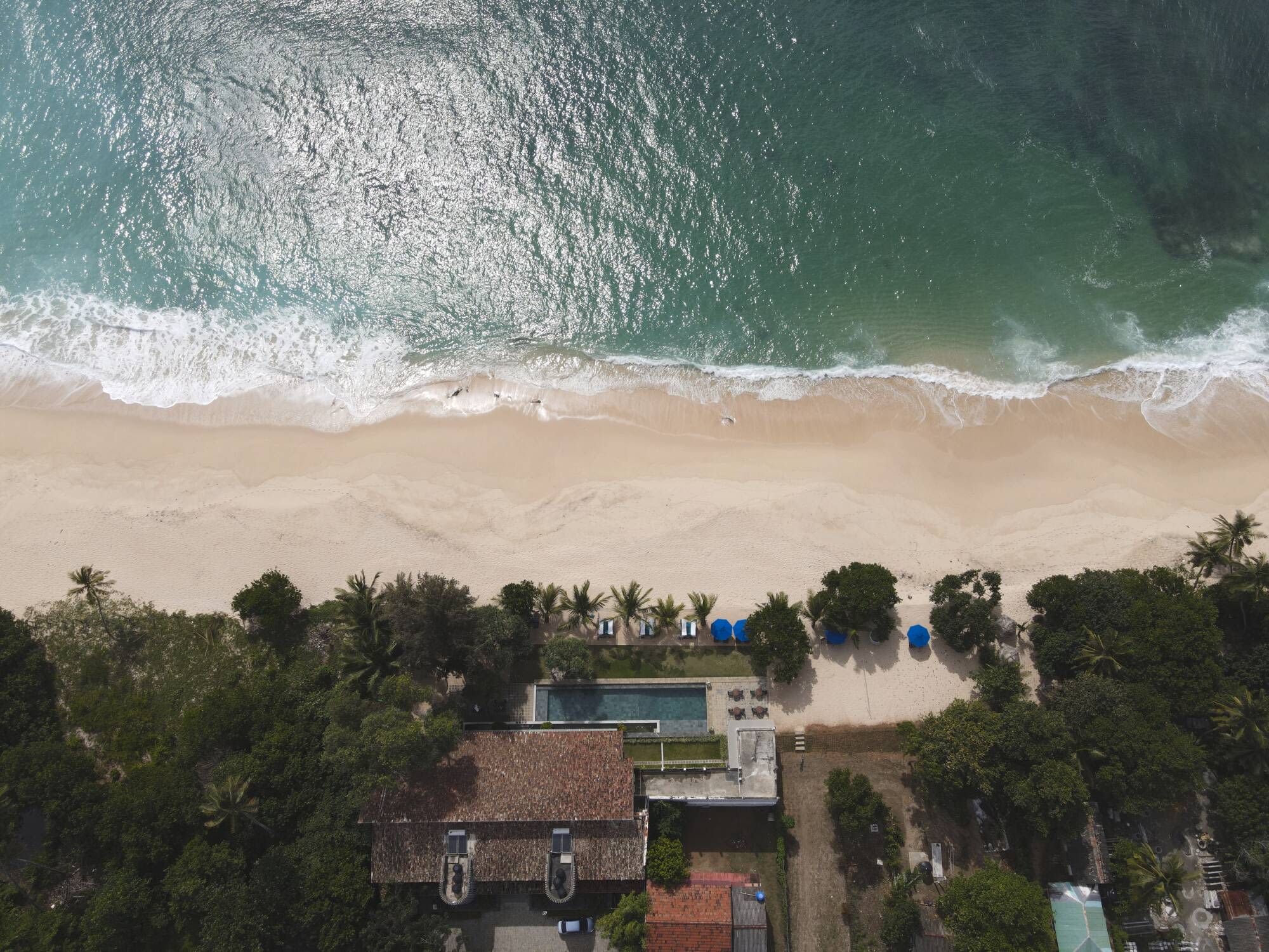 Lantern Boutique Hotel in Mirissa: Birdshot
