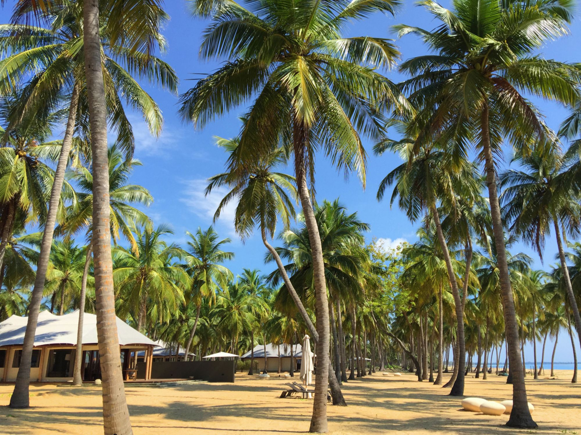 Karpaha Sands in Passekudah: Beach
