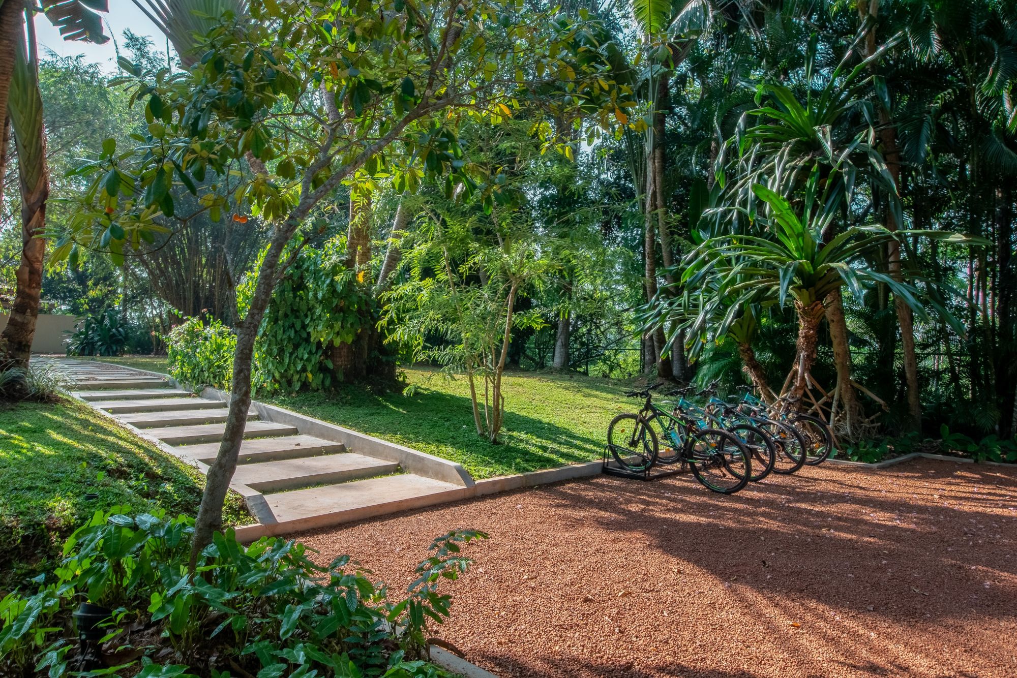 Haritha Villas & Spa à Hikkaduwa: Walkway