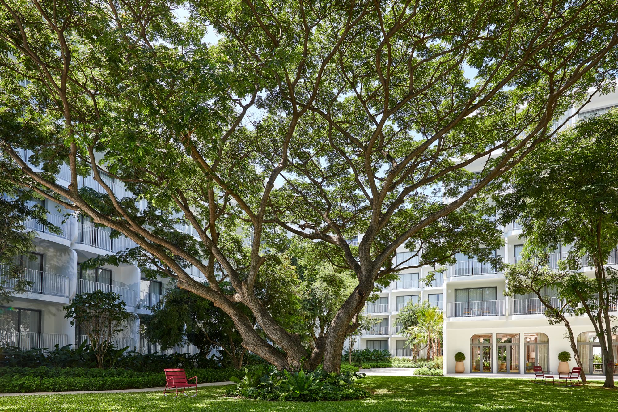 The Standard, Hua Hin: Garden