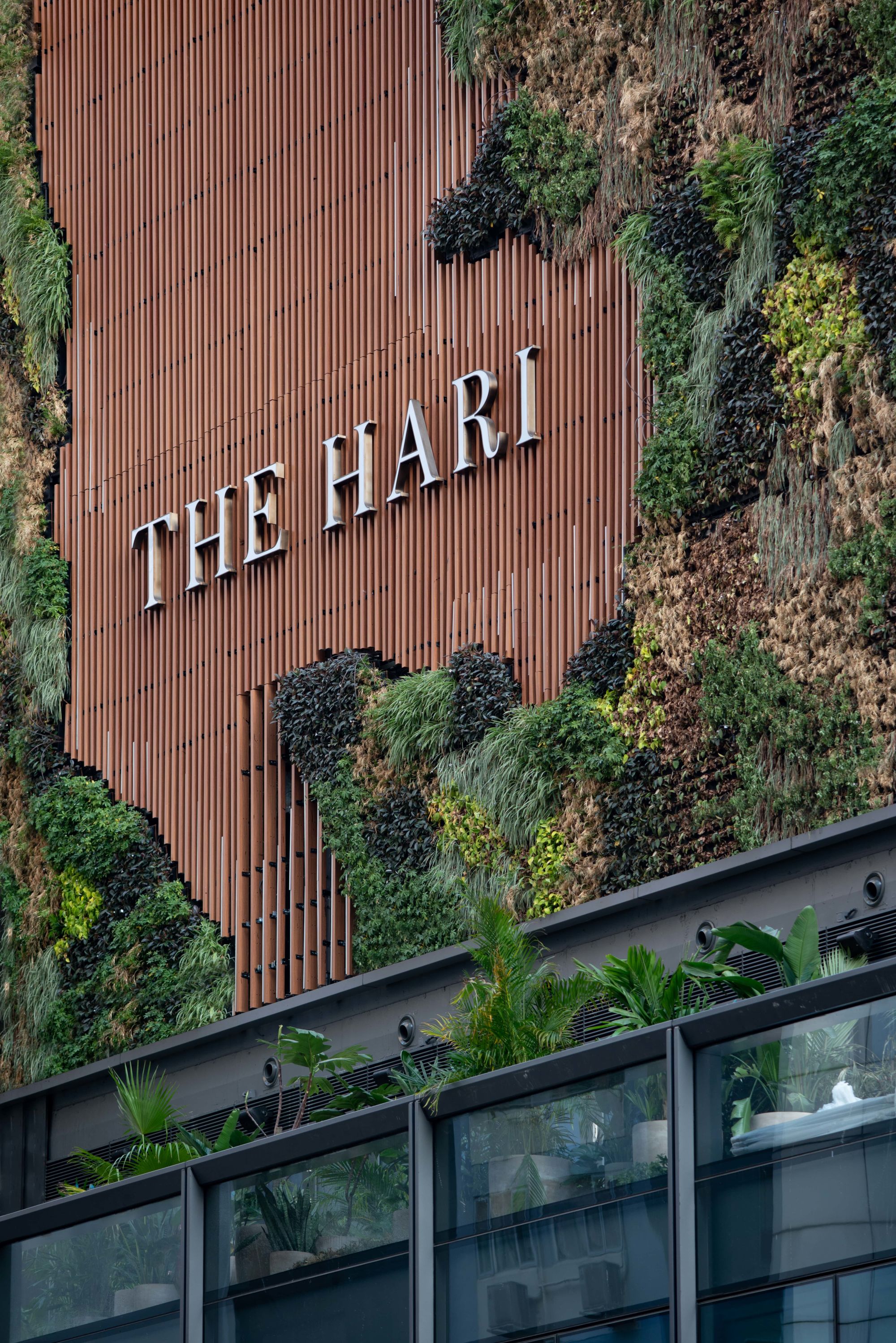 The Hari in Hong Kong: The Hari