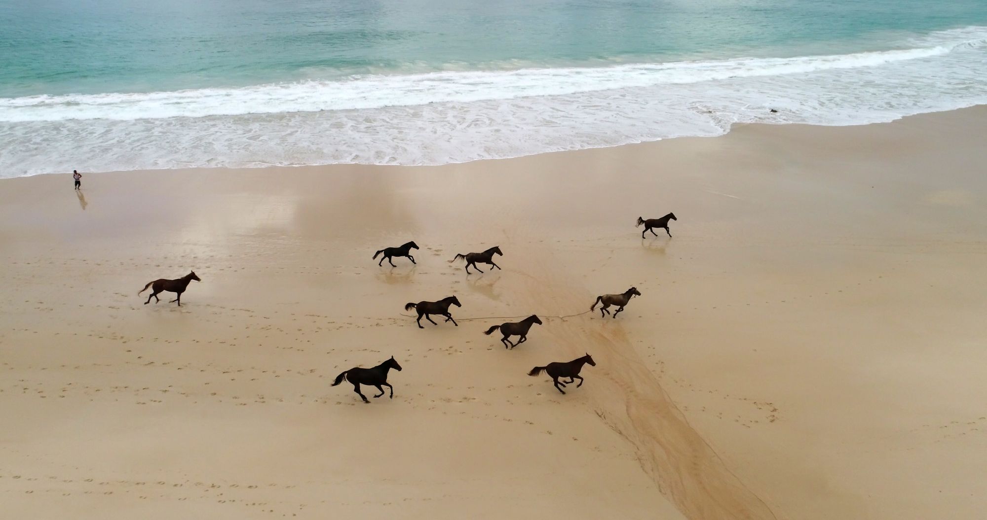 NIHI Sumba:  Wild Horses