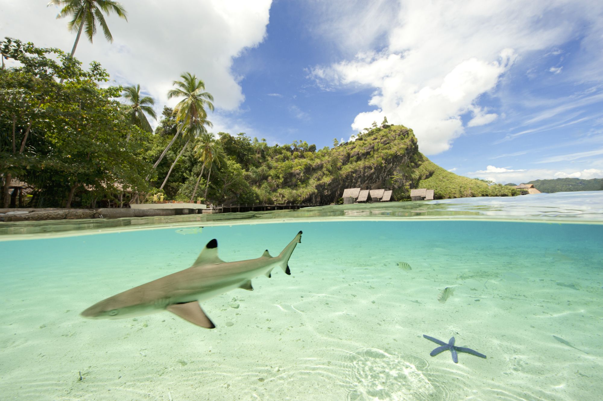 Misool Eco Resort in Sorong: Lagoon