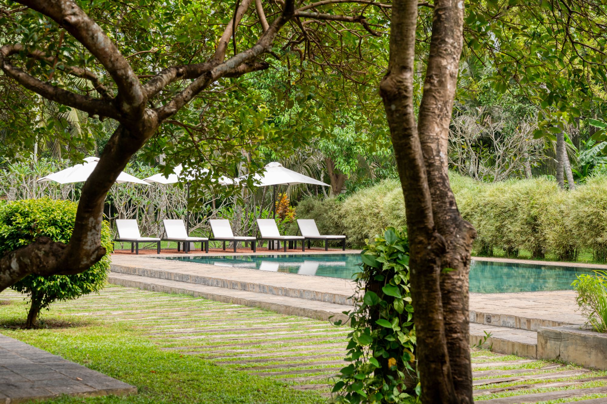 Uga Riva in Negombo: Pool