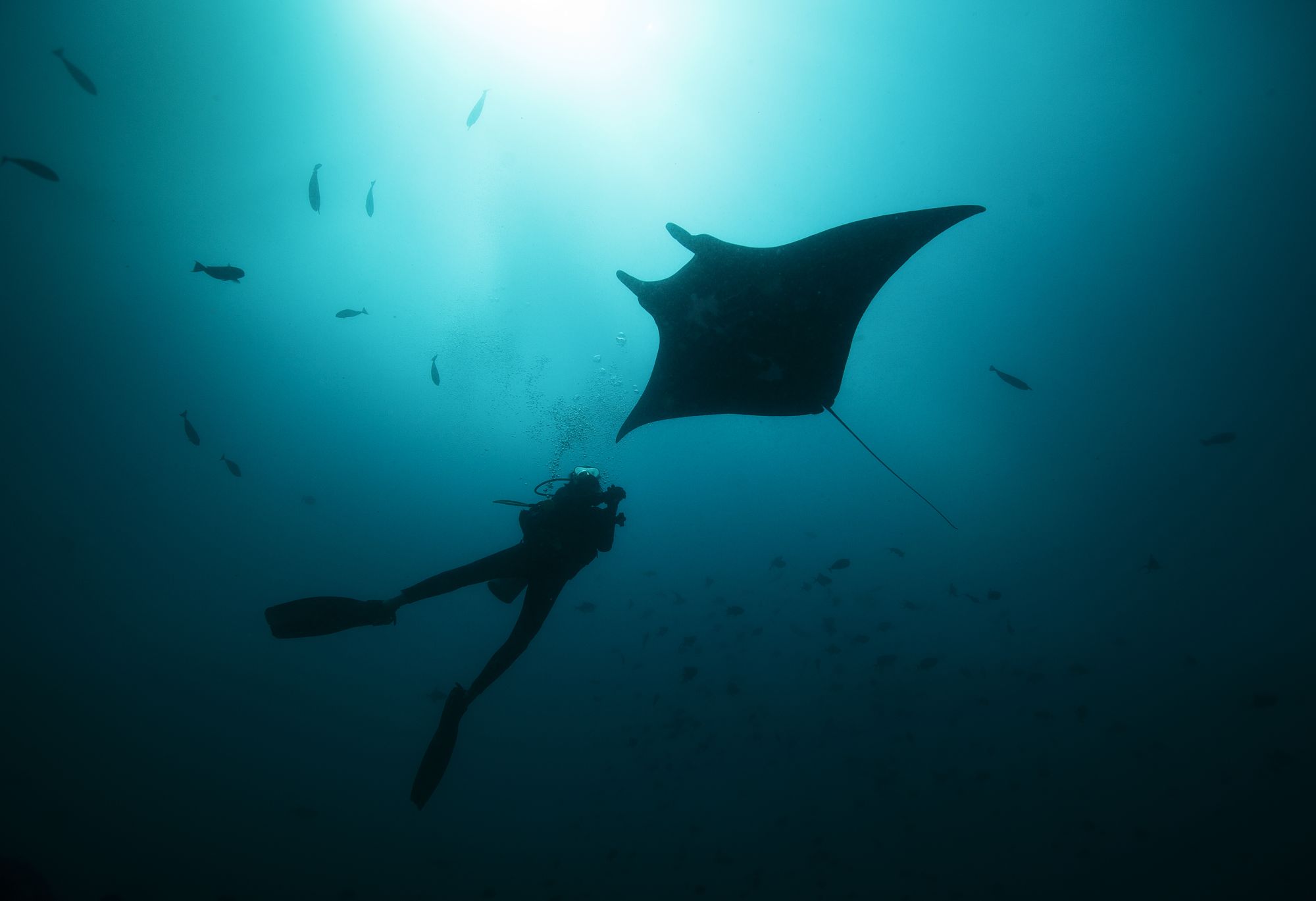 Tilar Siro Andamans in Andamanen: Diving