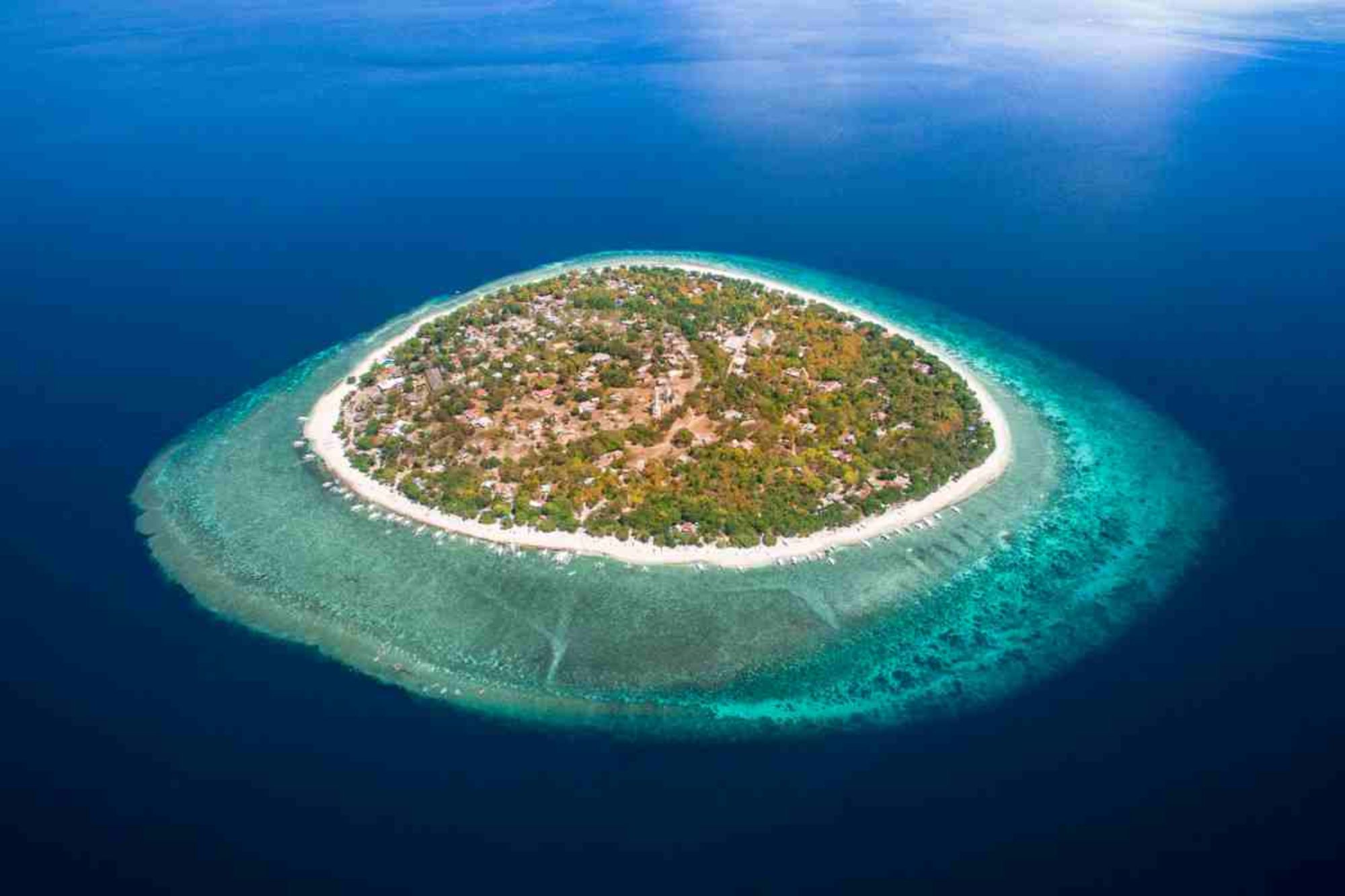 Bohol Beach Club: Balicasag Island