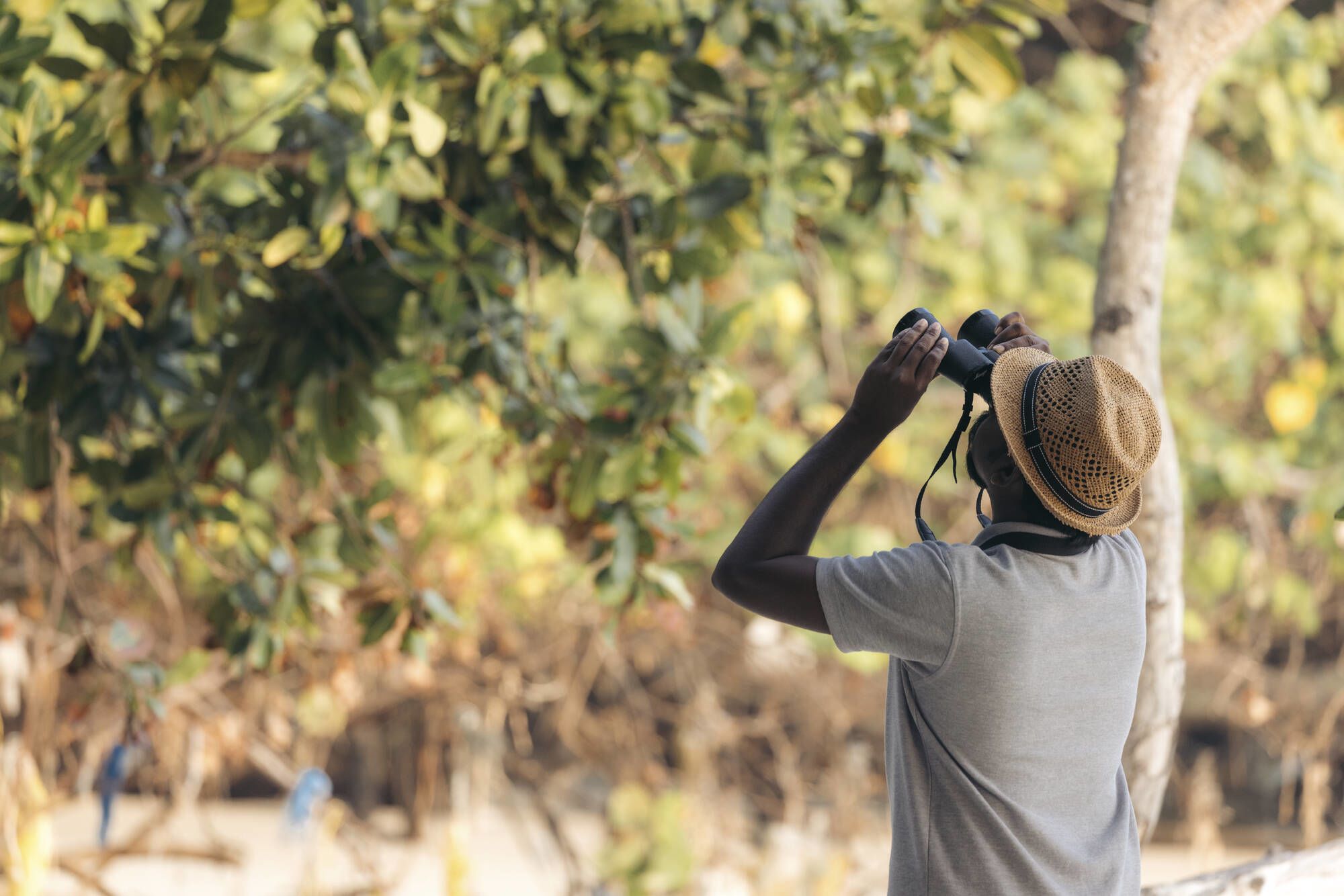 Tilar Siro Andamans in Andamanen: Birdwatching
