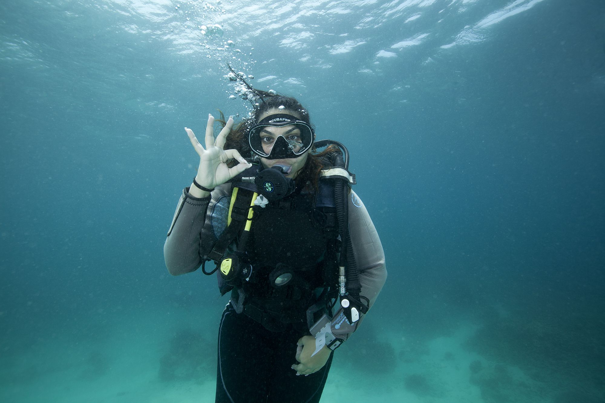 Tilar Siro Andamans in Andamanen: Diving