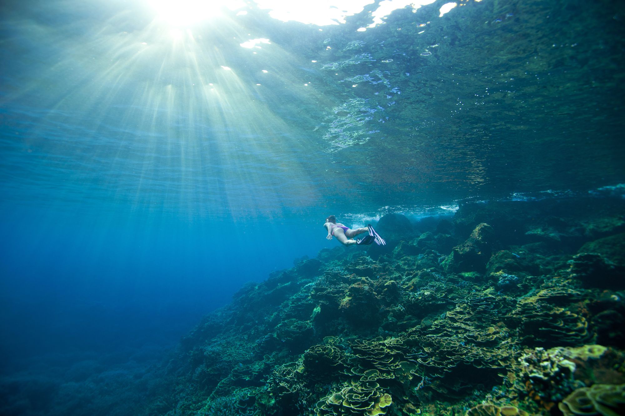 Tilar Siro Andamans in Andamanen: Diving