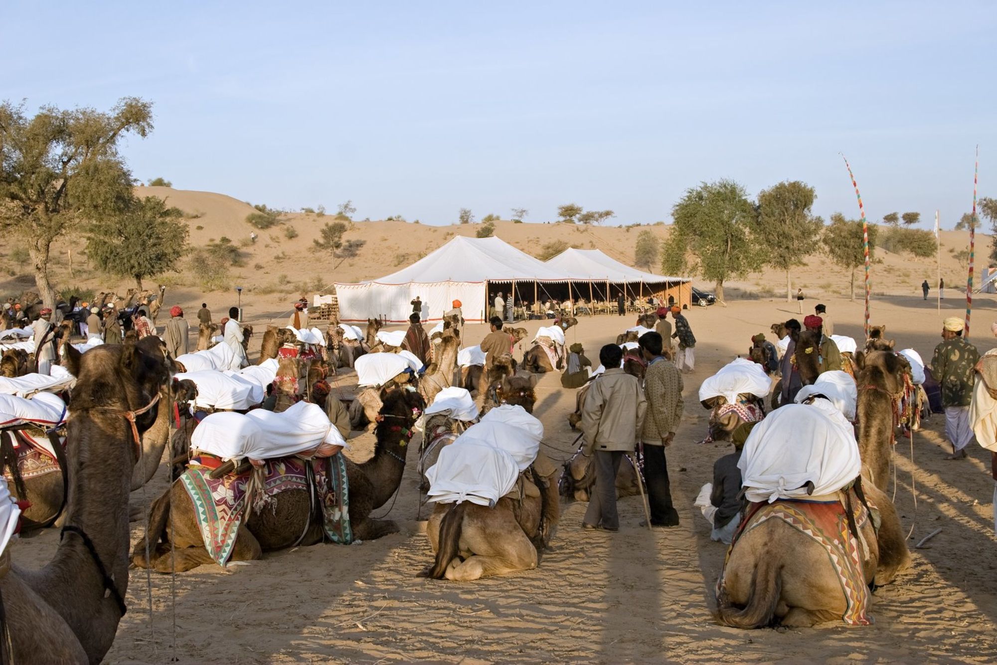MANVAR Sevan, The Desert Camp in Wüste Thar: activities: 
