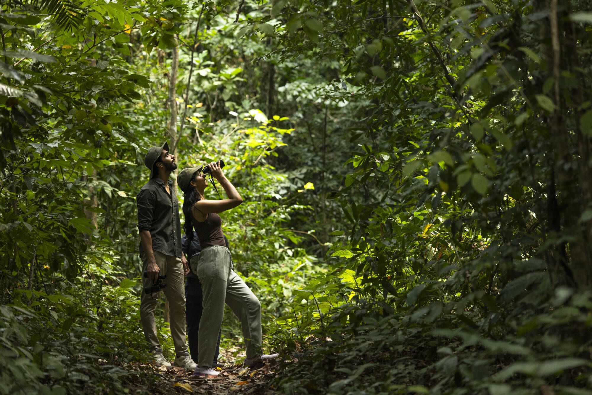 Tilar Siro Andamans in Andamanen: Birdwatching