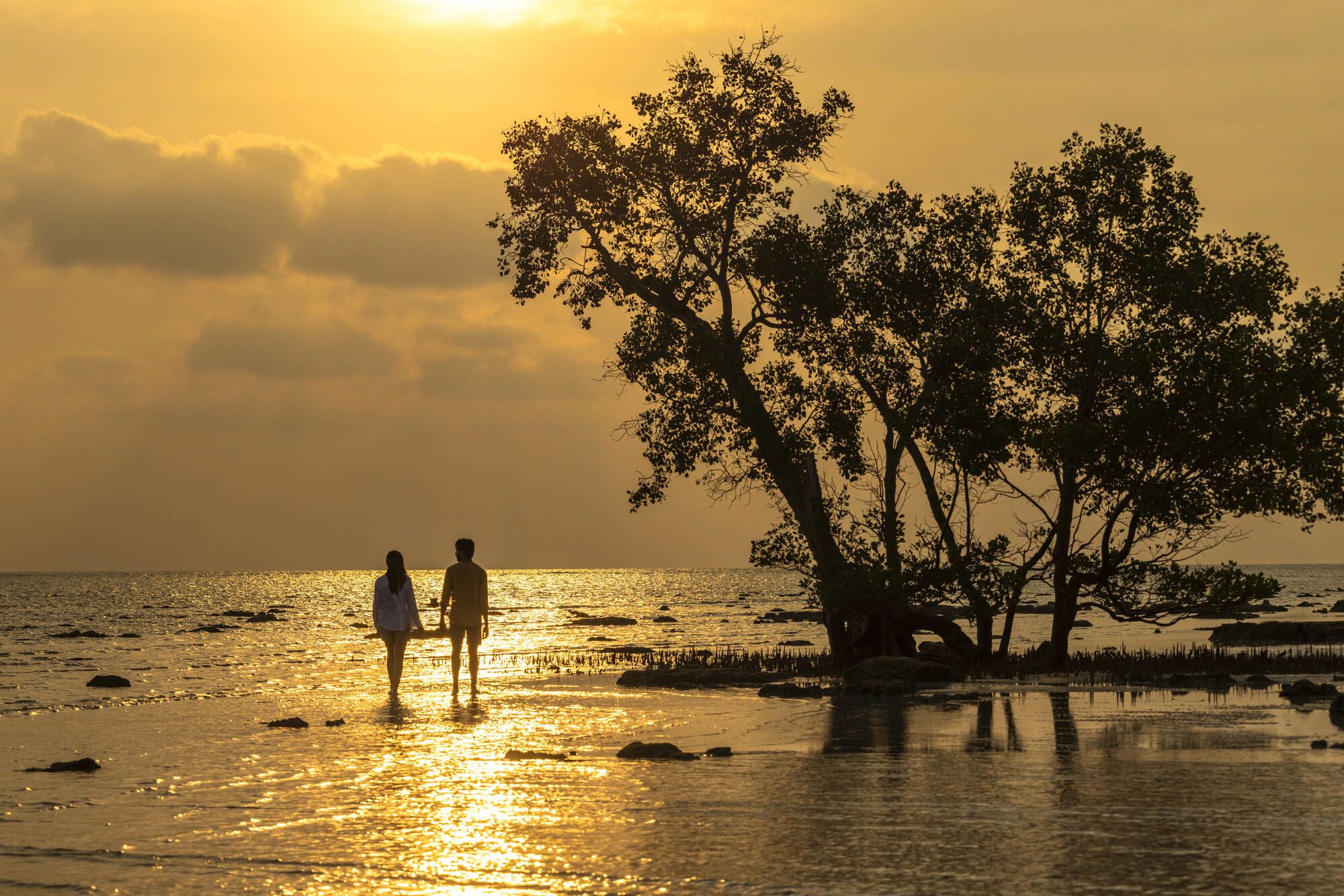 Tilar Siro Andamans in Andamanen: Beach at sunset