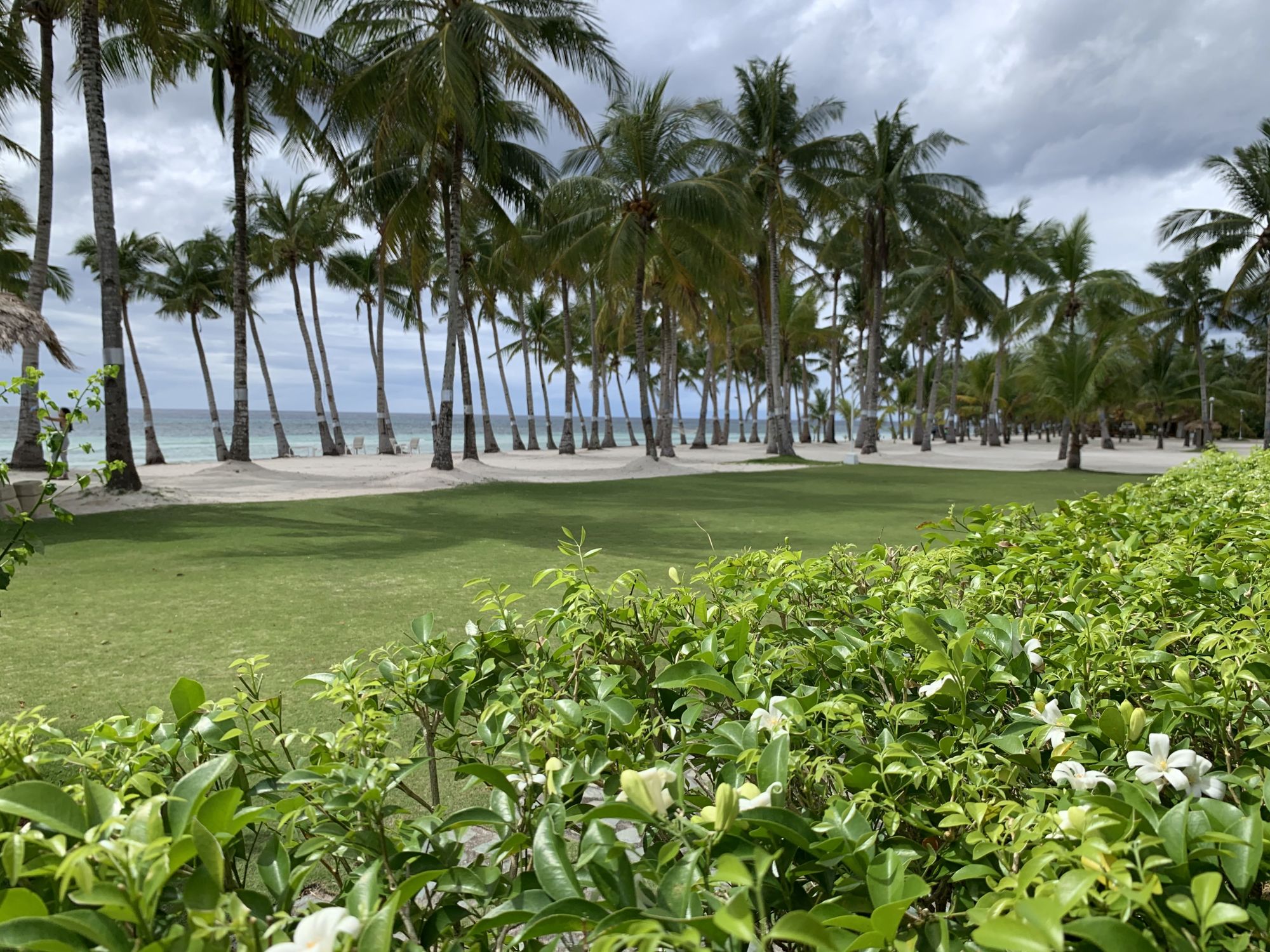 Bohol Beach Club: Garden