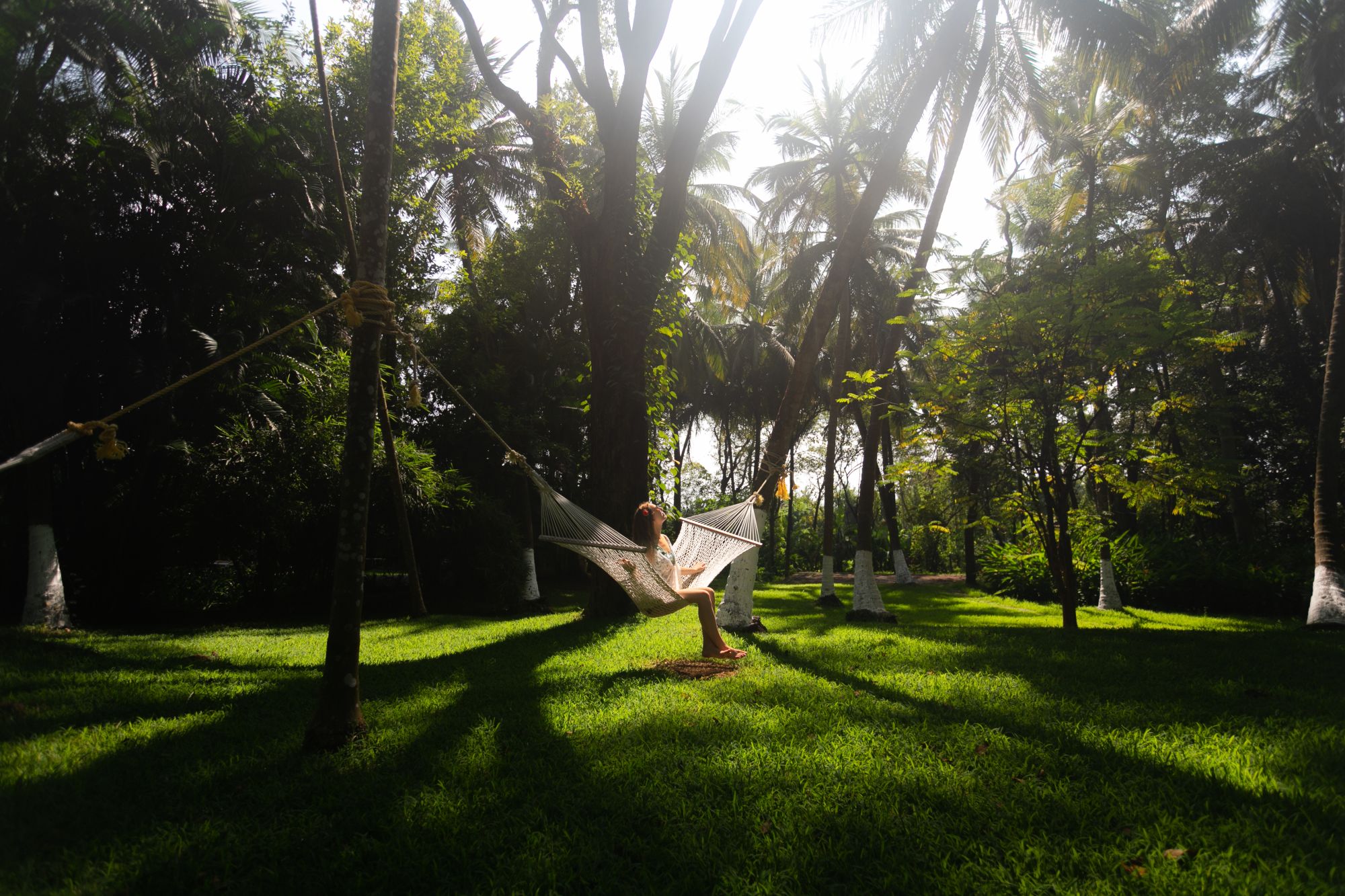 Kairali - The Ayurvedic Healing Village à Coimbatore: Garden