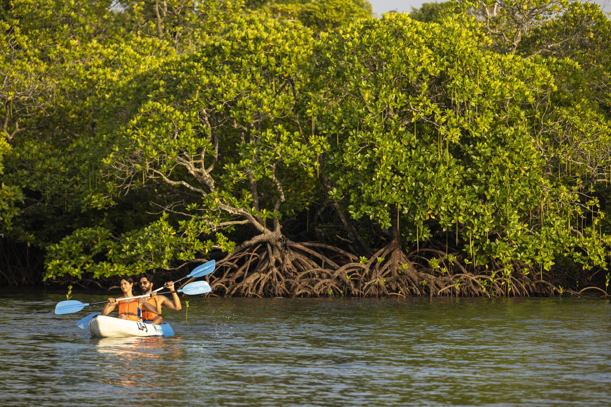 Tilar Siro Andamans in Andamanen: Mangrove Kayaking