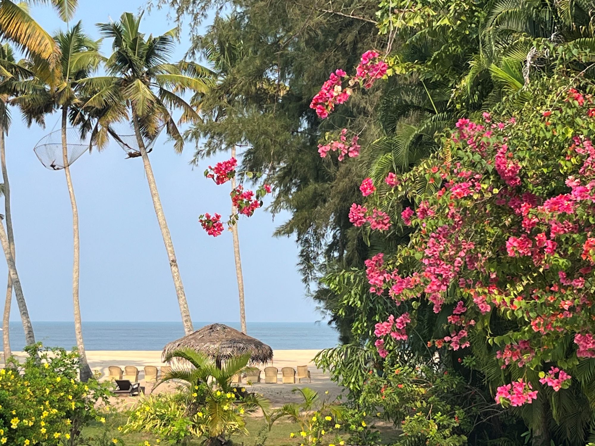 Carnoustie Ayurveda & Wellness Resort in Mararikulam: Beach