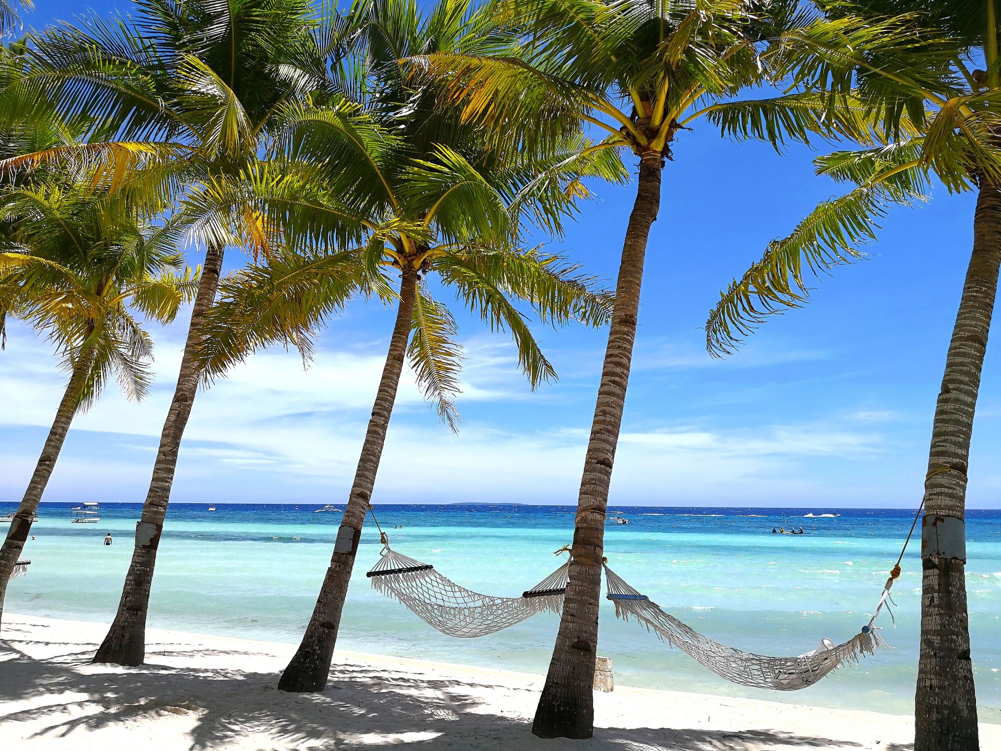 Bohol Beach Club: Beachfront