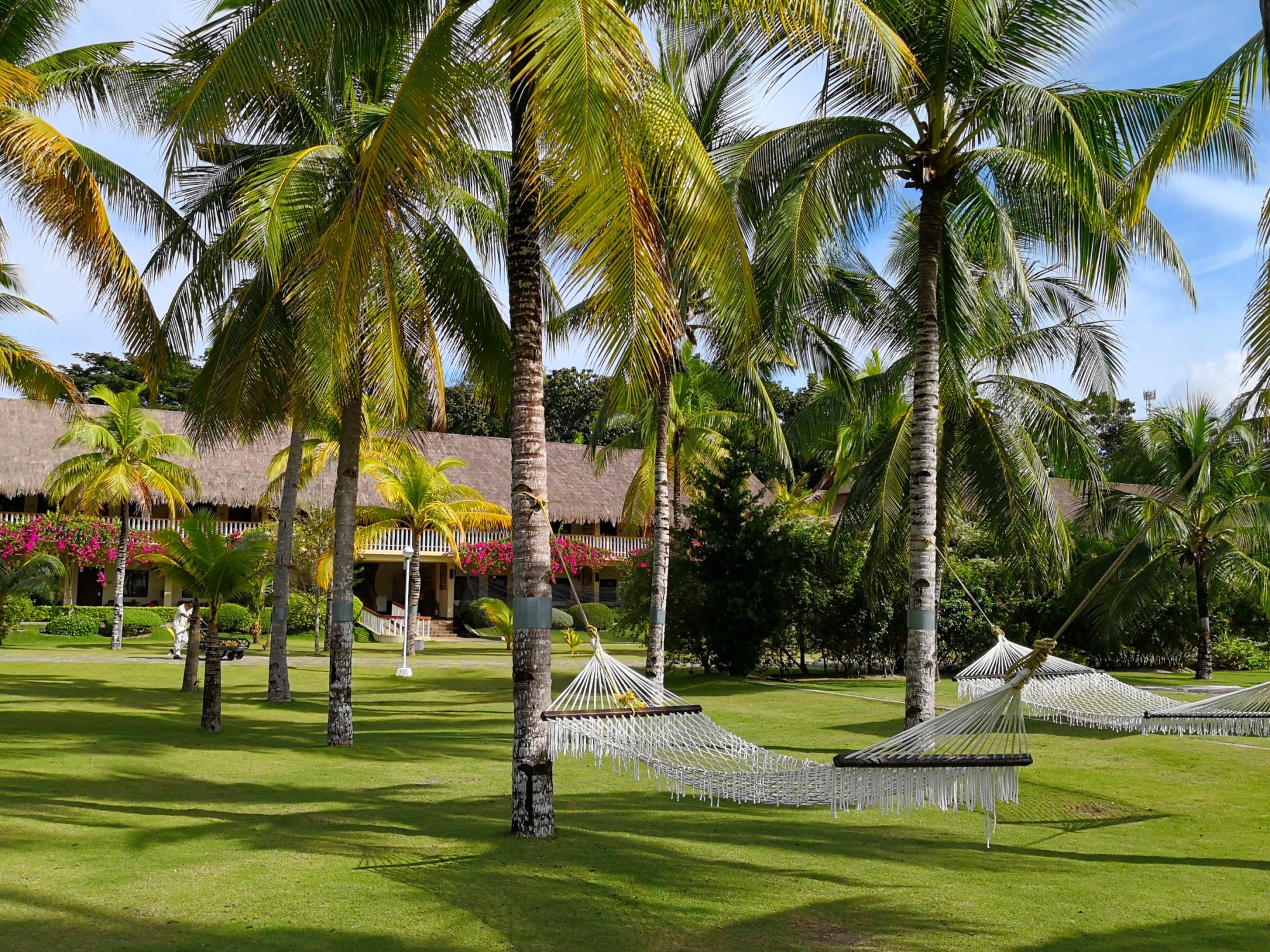 Bohol Beach Club: Garden