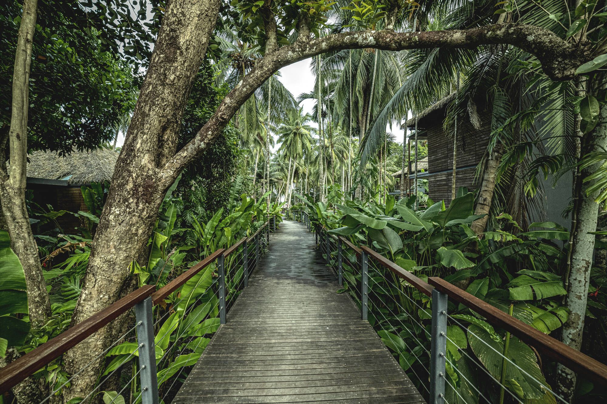 Tilar Siro Andamans in Andamanen: Walkway