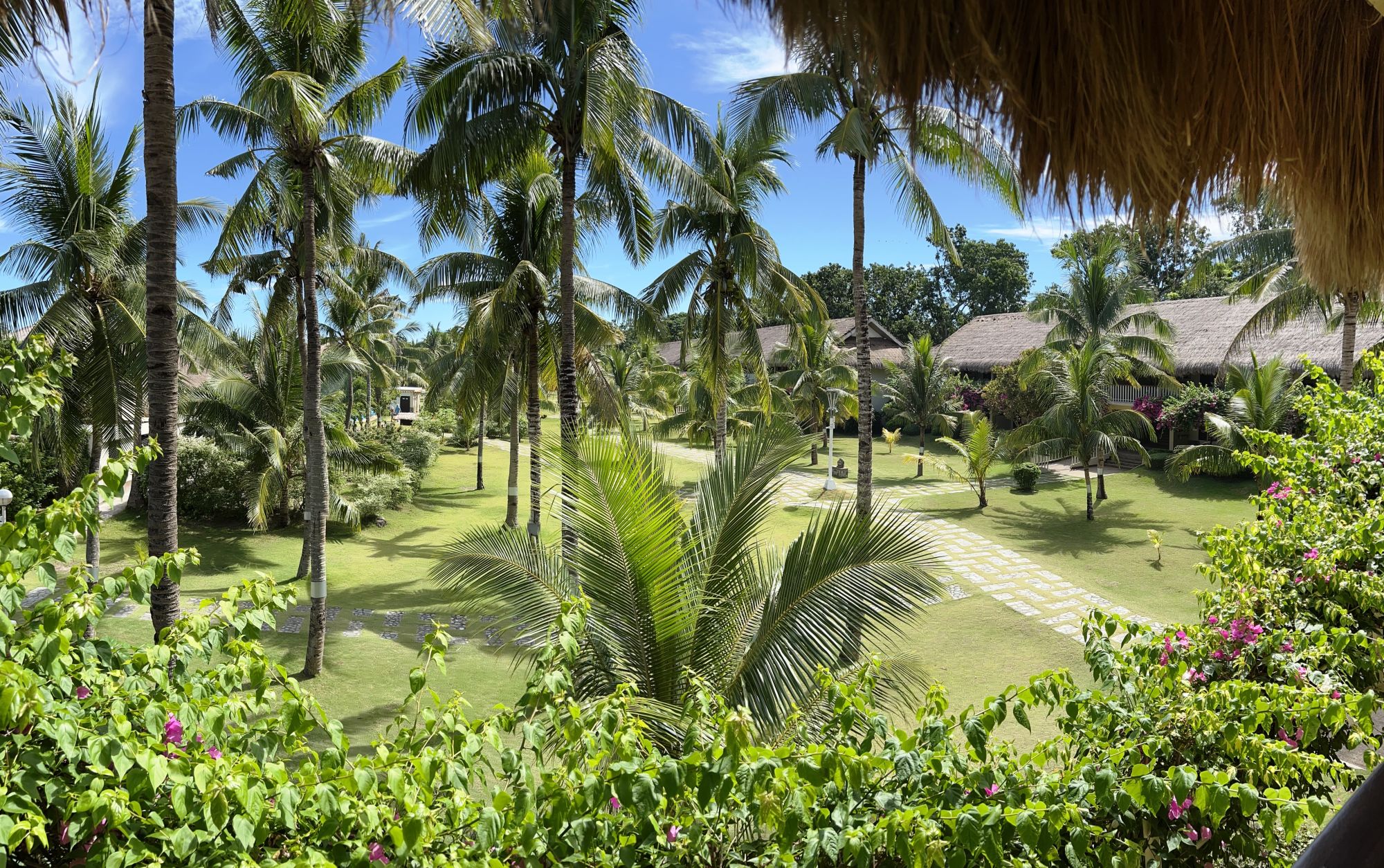 Bohol Beach Club: View from Deluxe Building