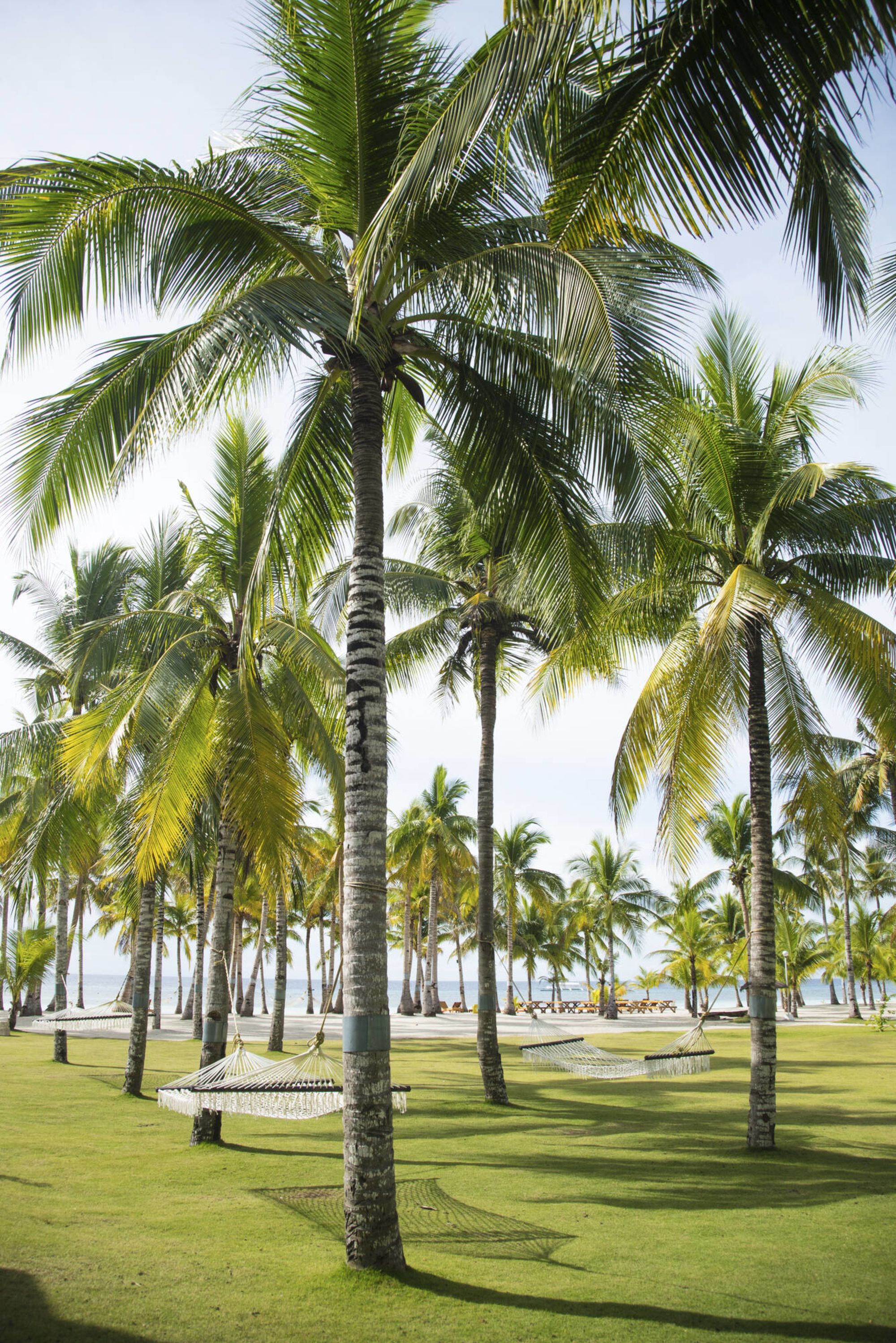 Bohol Beach Club: Courtyard Hammock