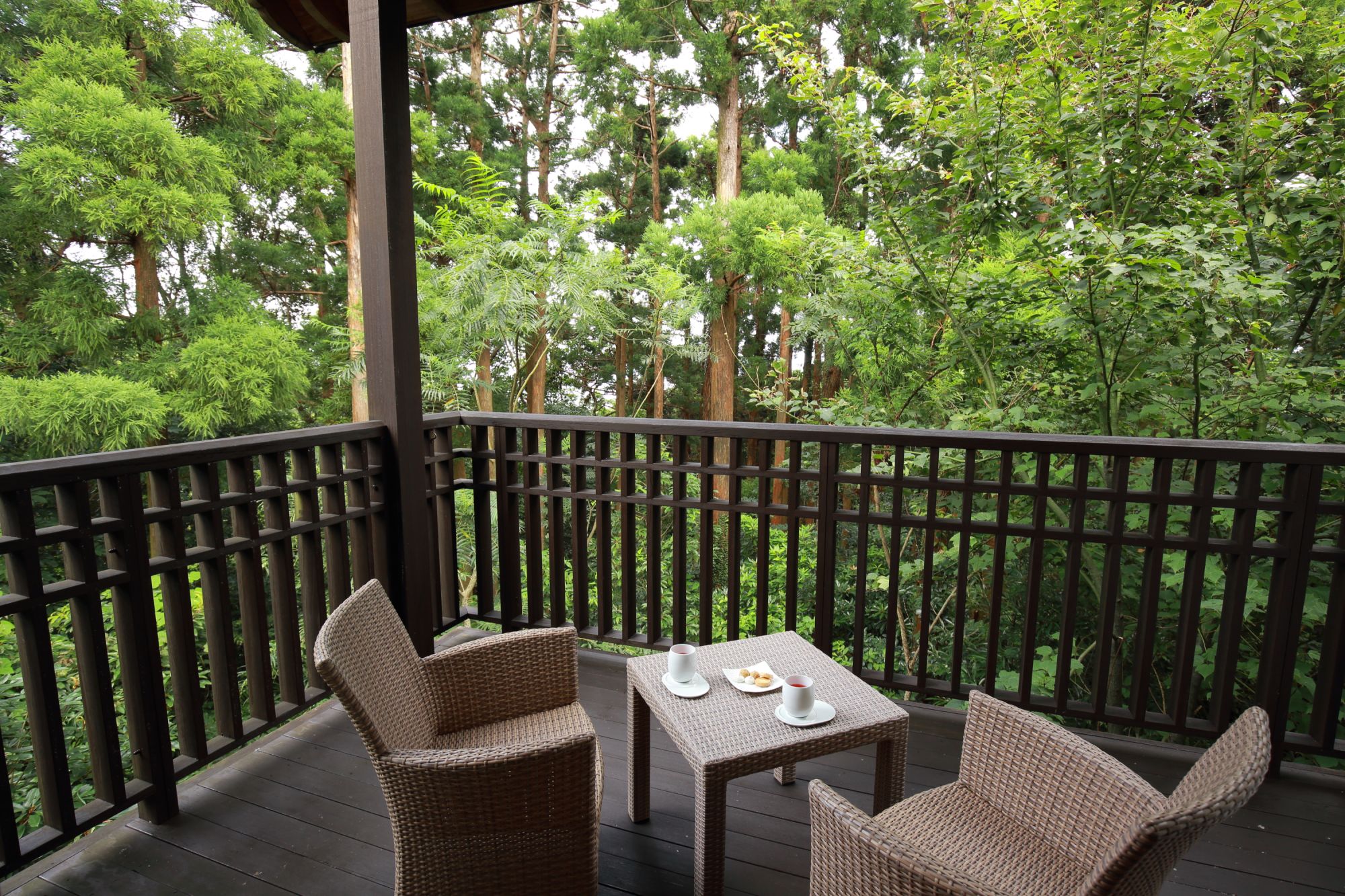 Sankara Hotel & Spa à Yakushima: Samudra Villa | balcony