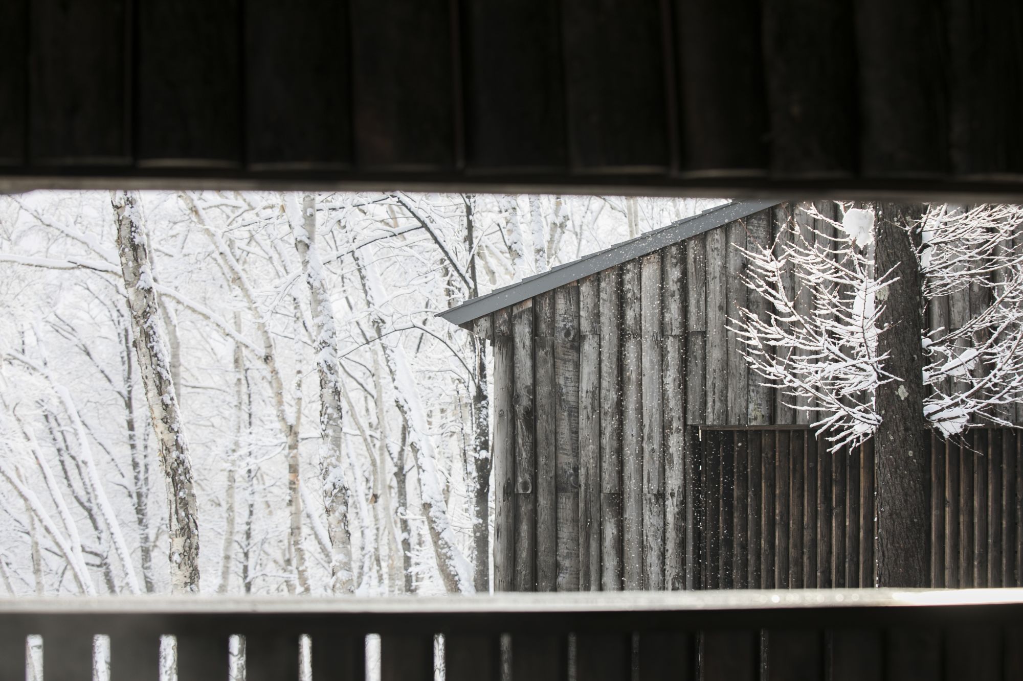 Zaborin in Niseko: View outside